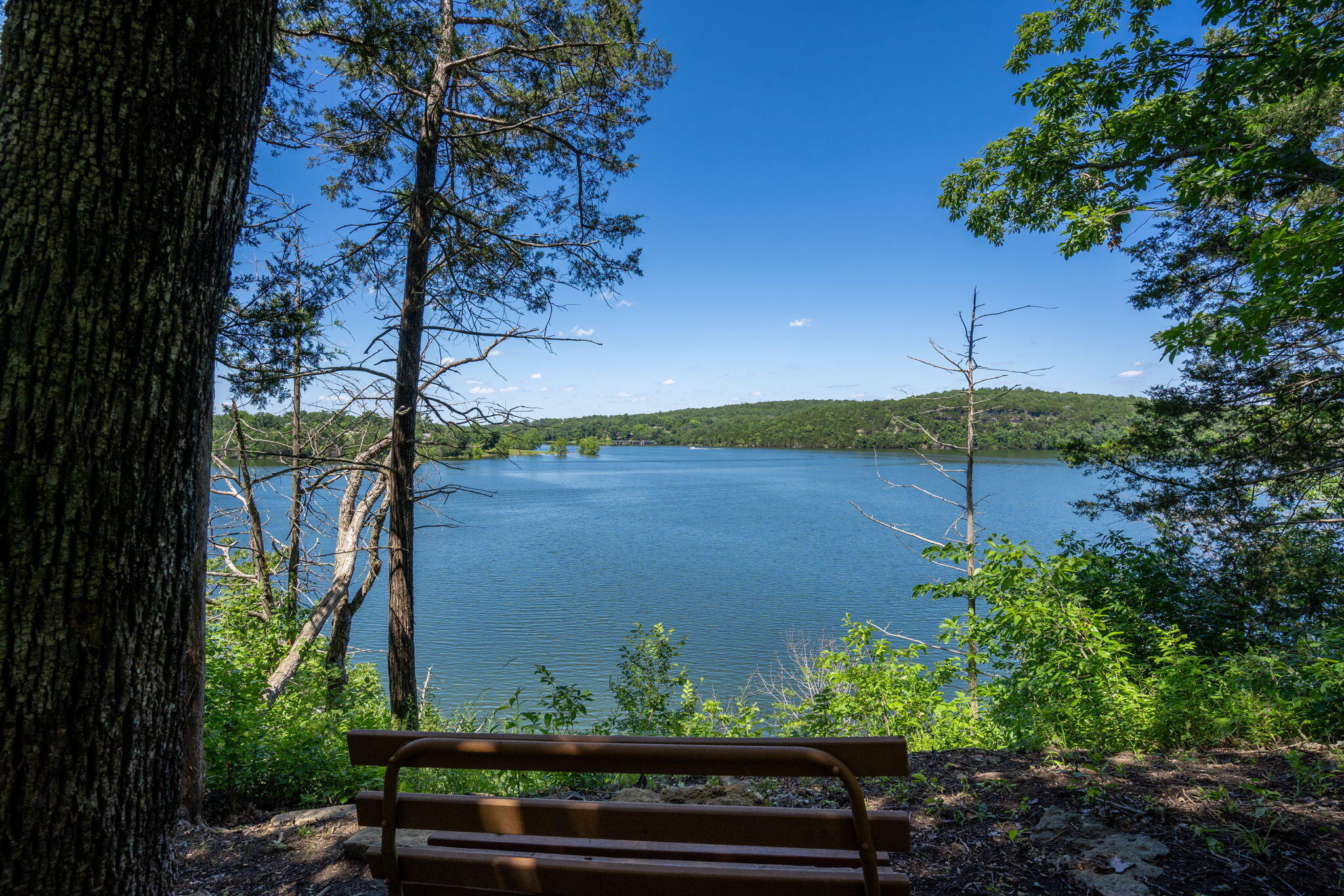 26474 Kings River Road Property Photo 9