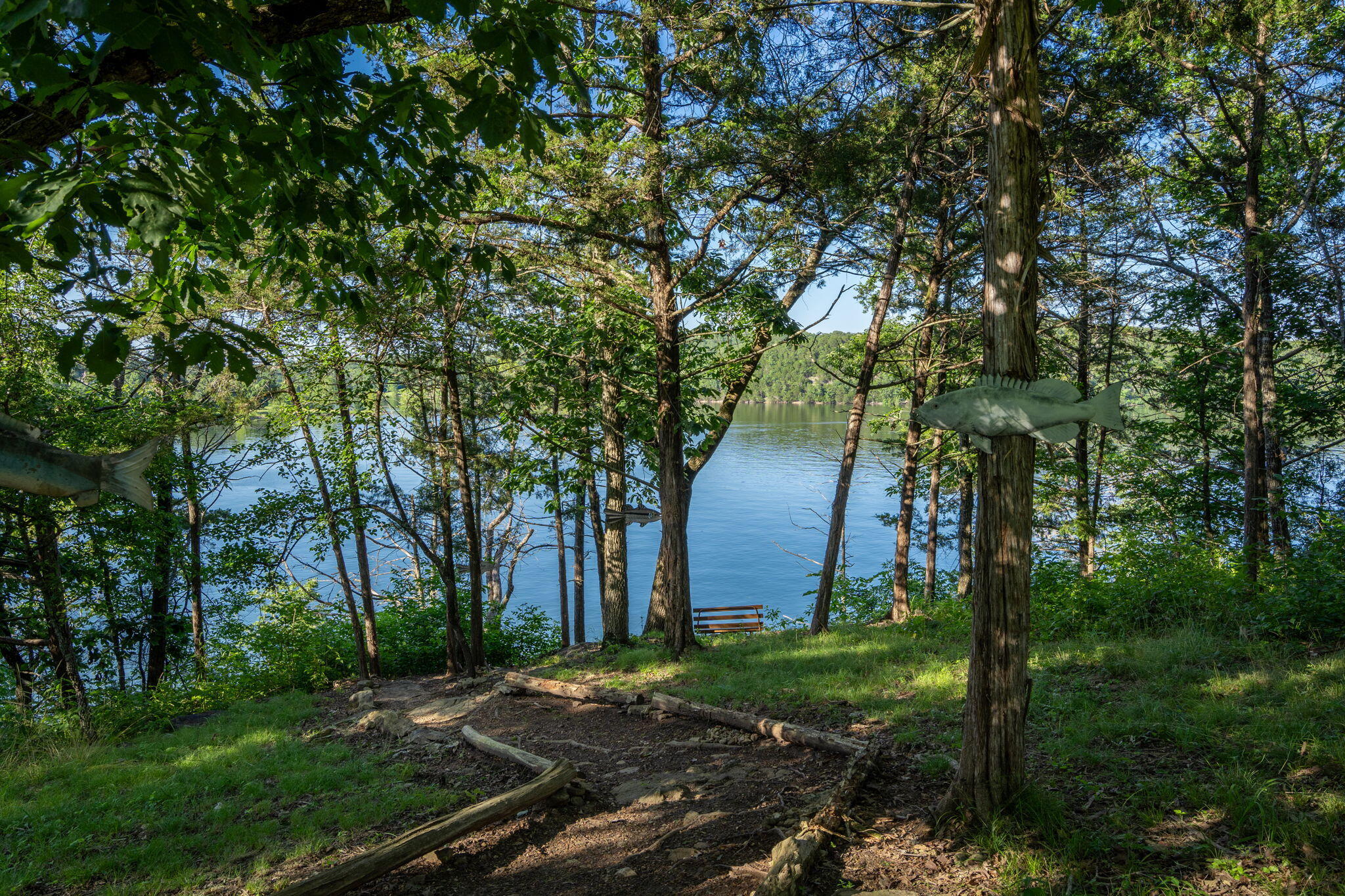 26474 Kings River Road Property Photo 11