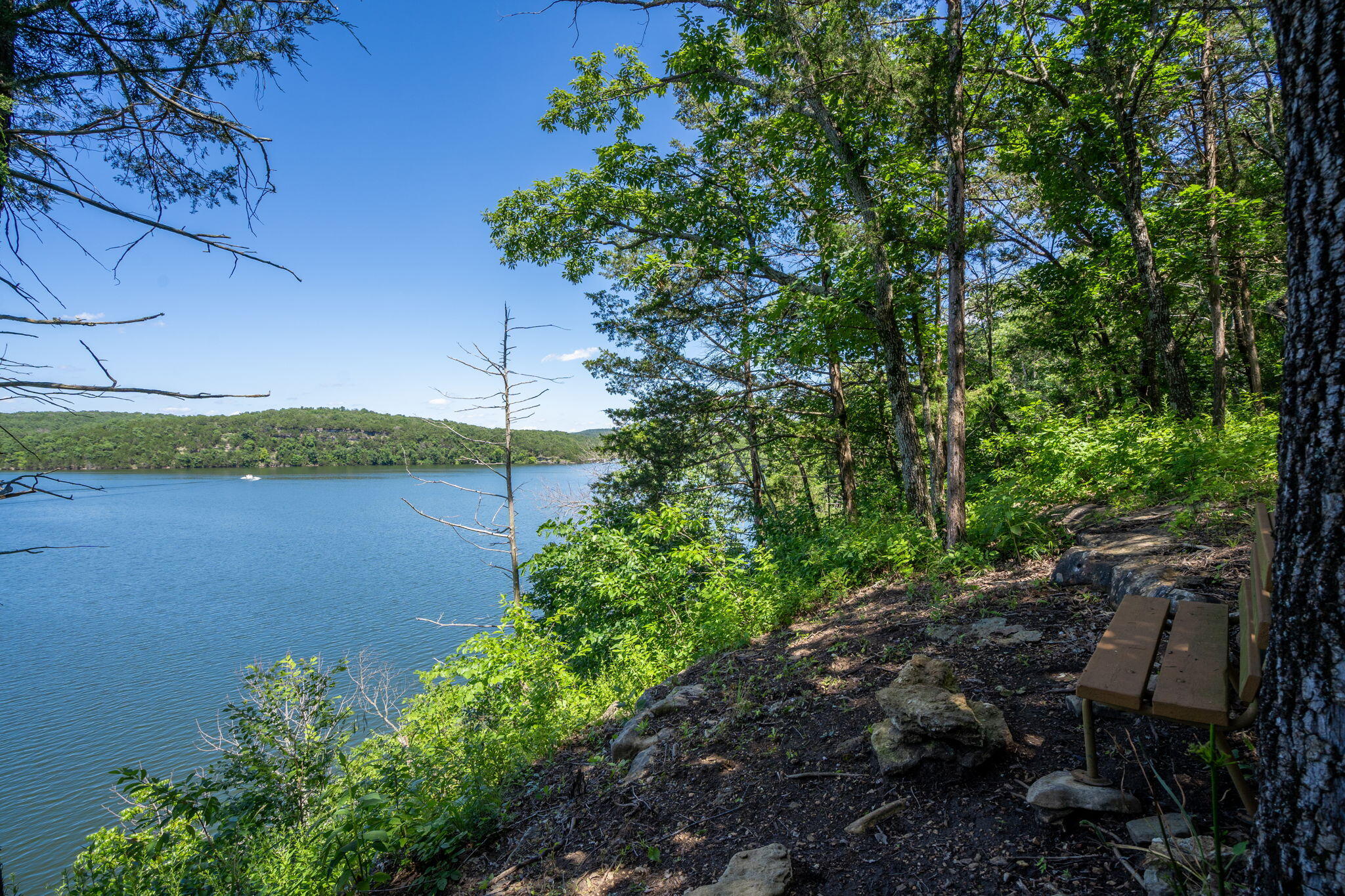 26474 Kings River Road Property Photo 60