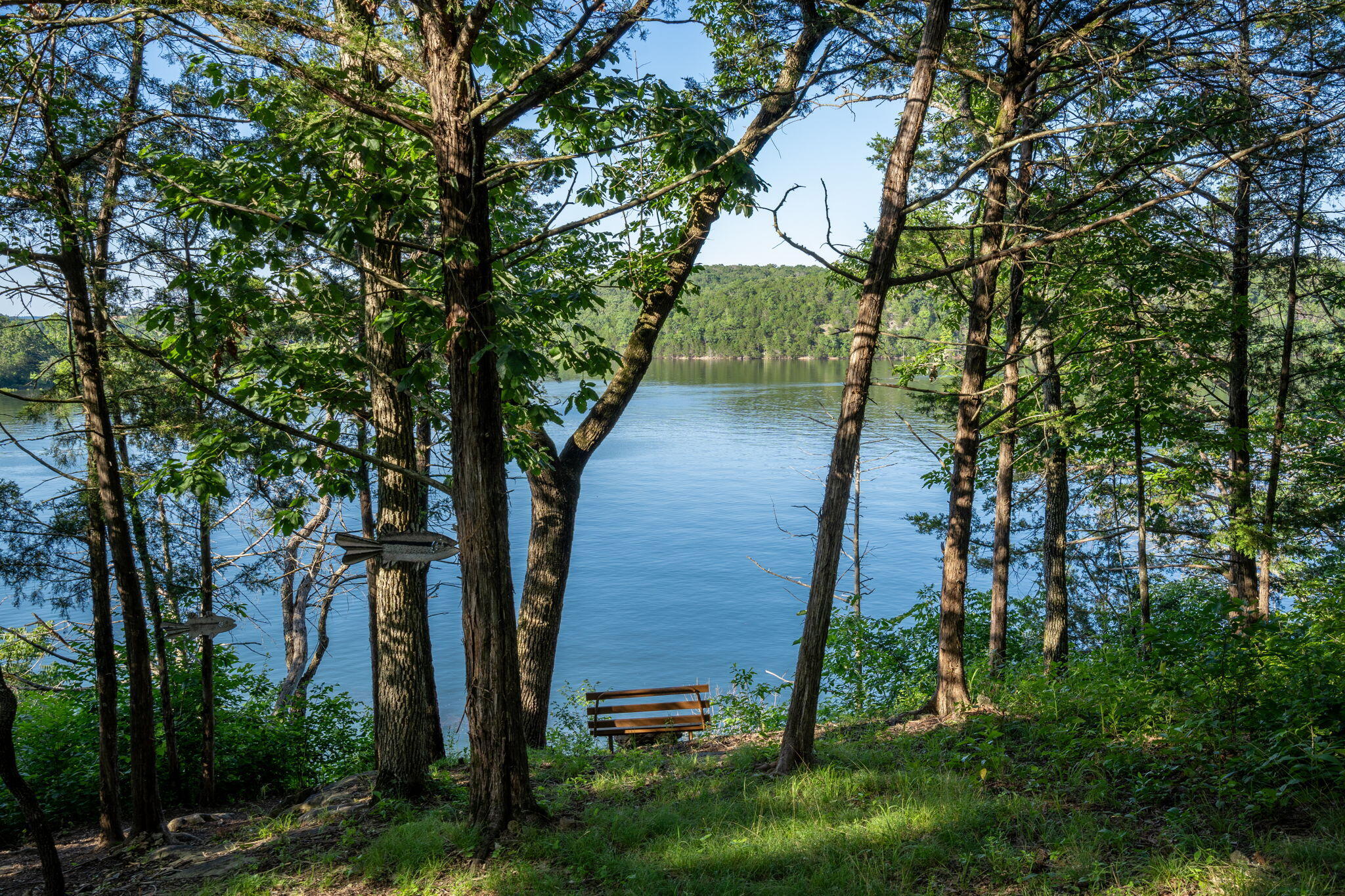 26474 Kings River Road Property Photo 66