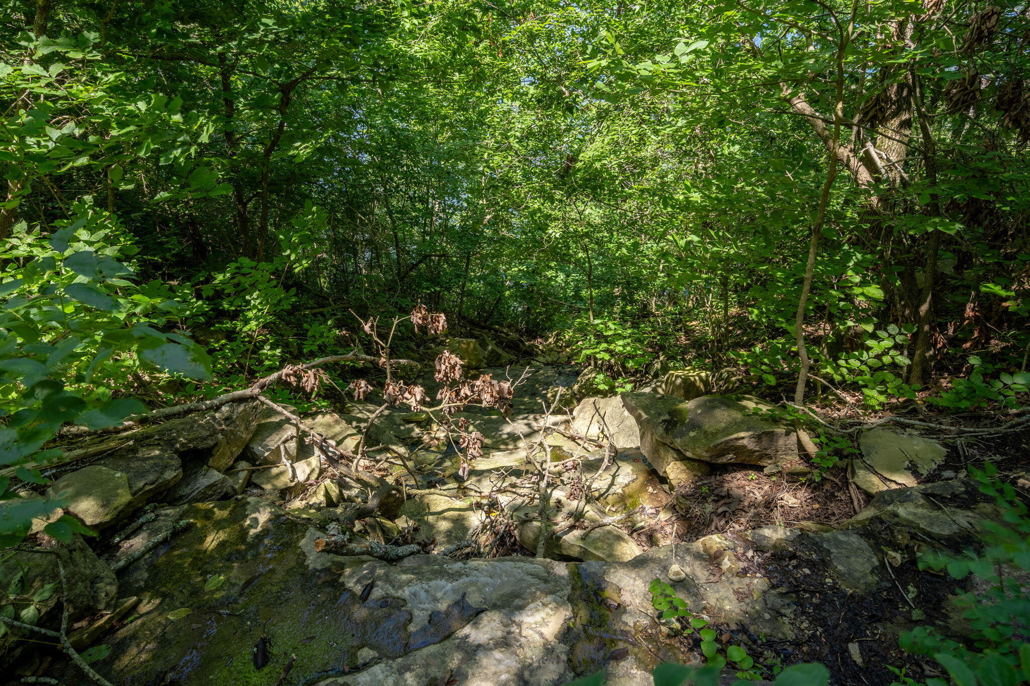 26474 Kings River Road Property Photo 67