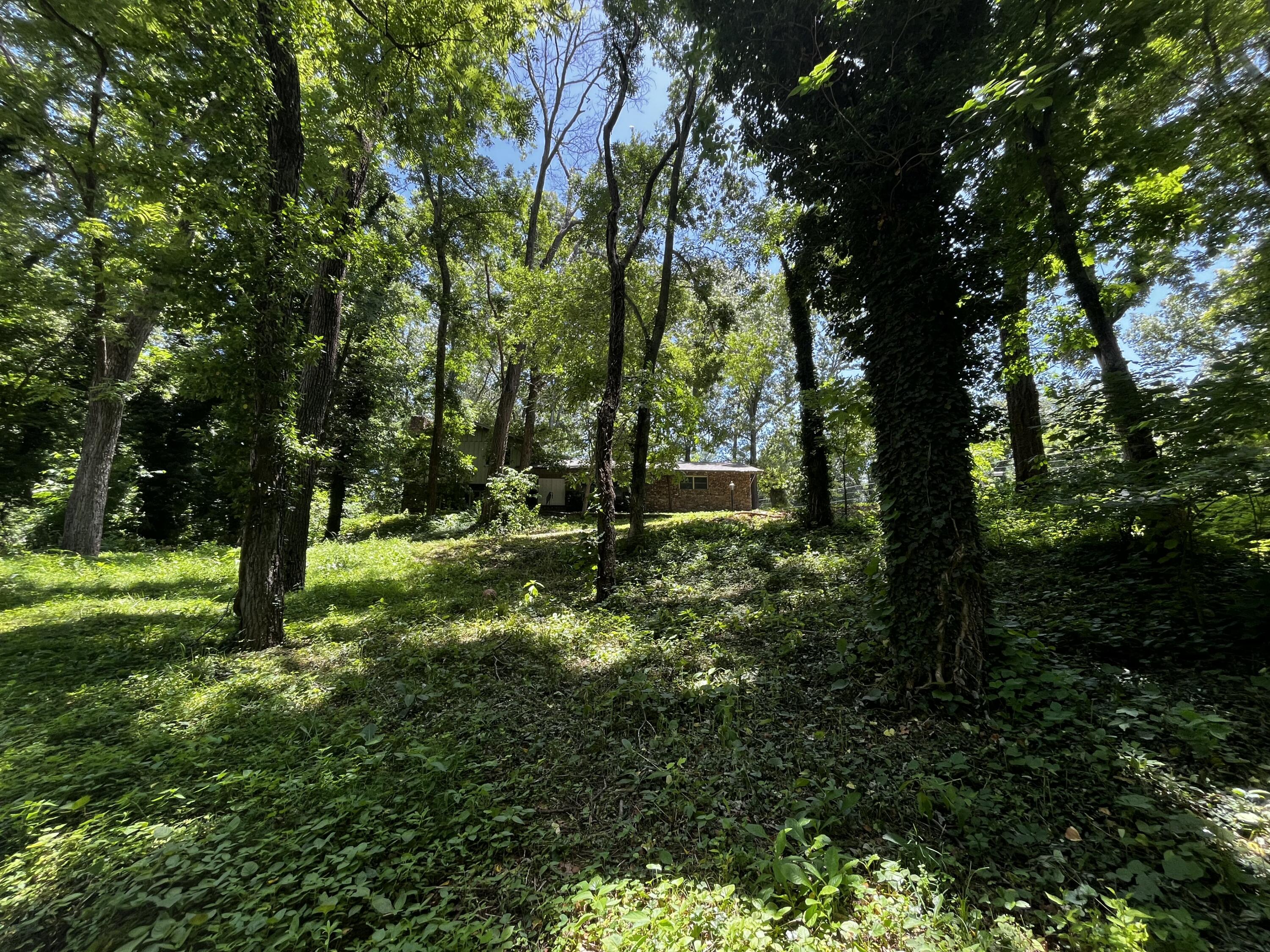805 East 13th Street Property Photo 3