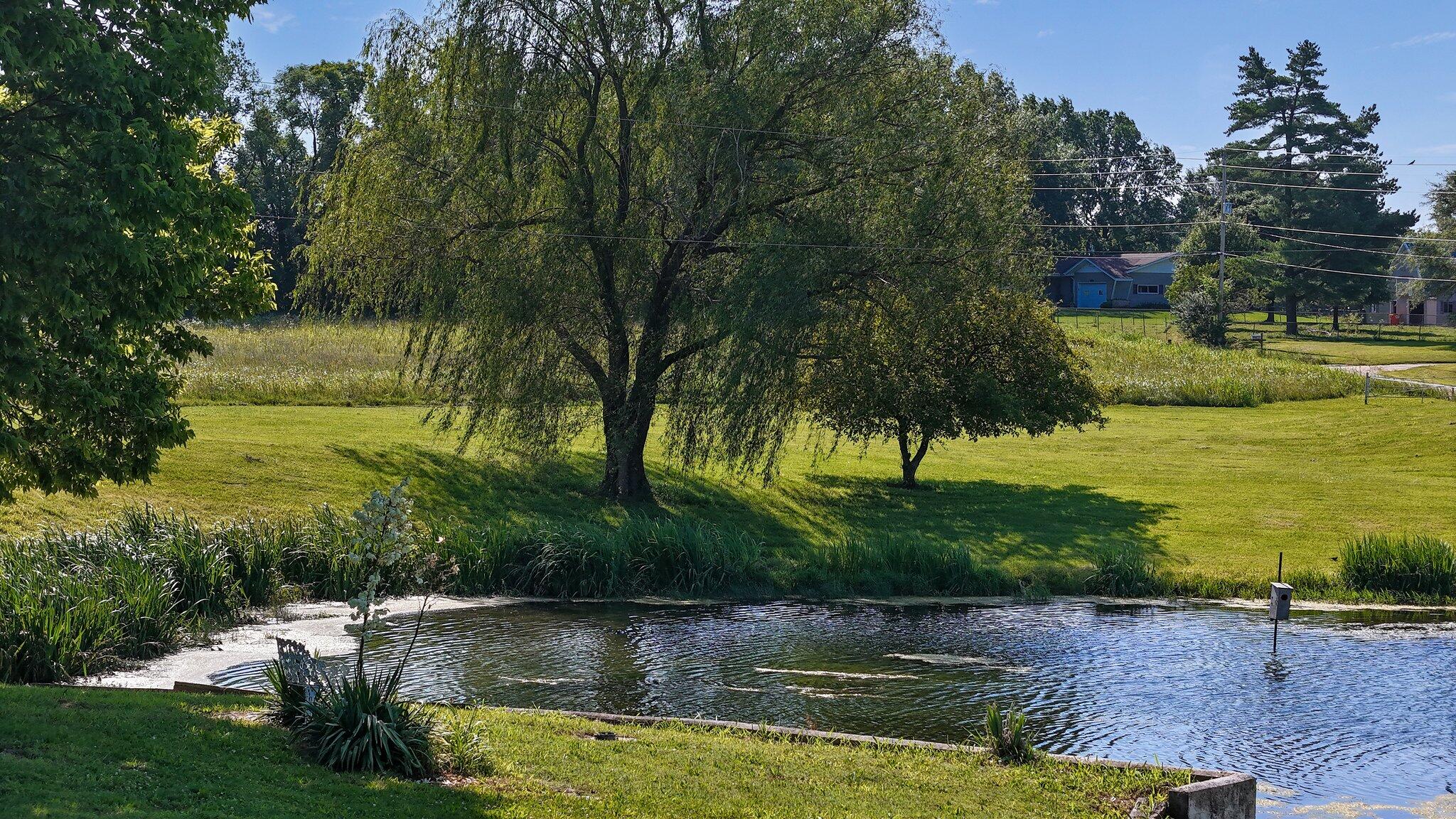 Property Photo 23