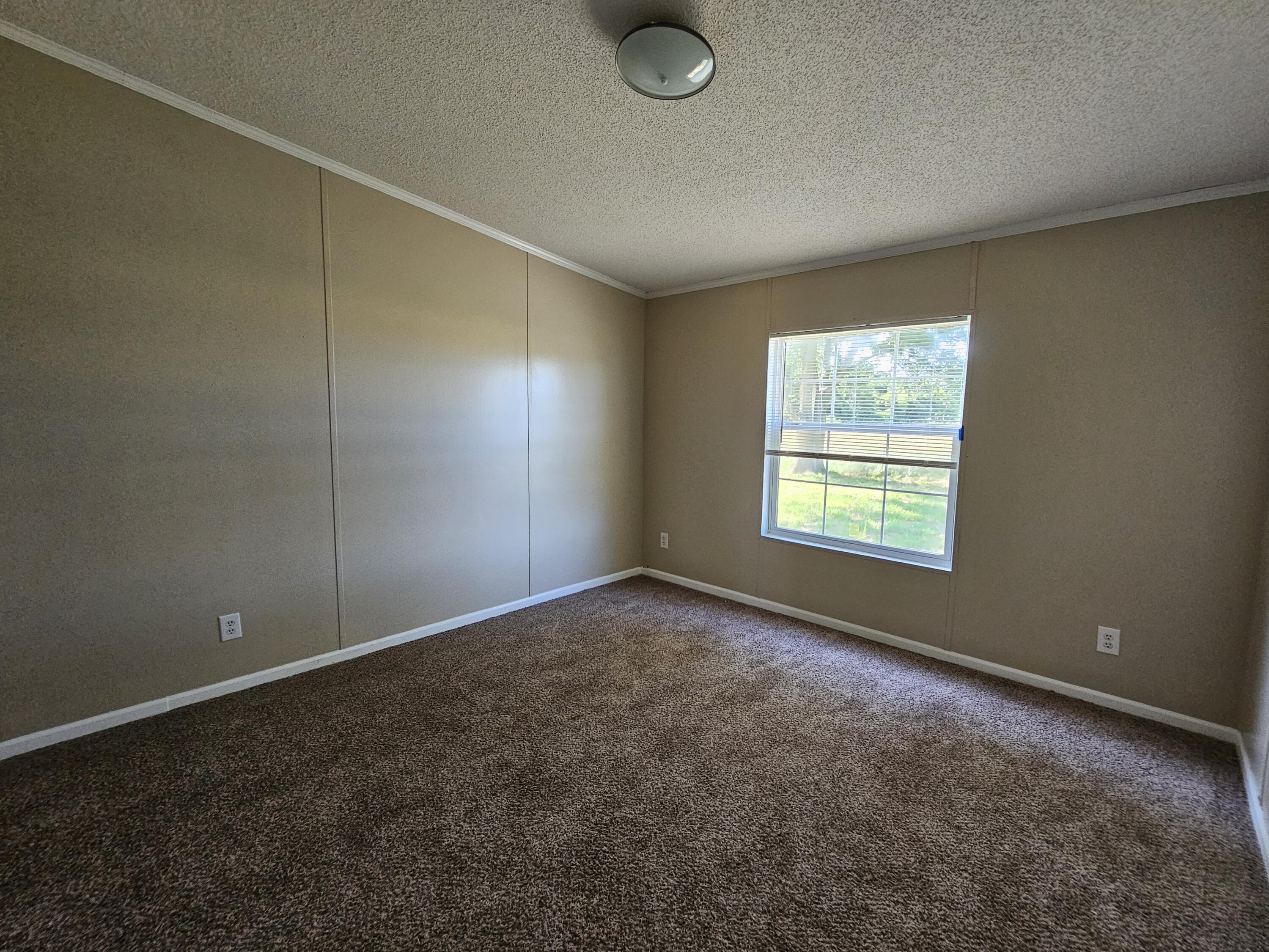 205 College Street Property Photo 21