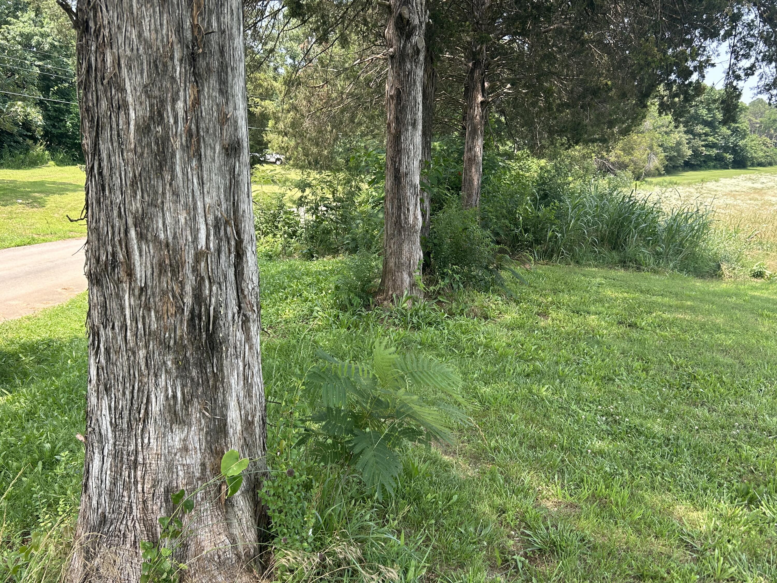 000 Gin Hill Road Property Photo 14