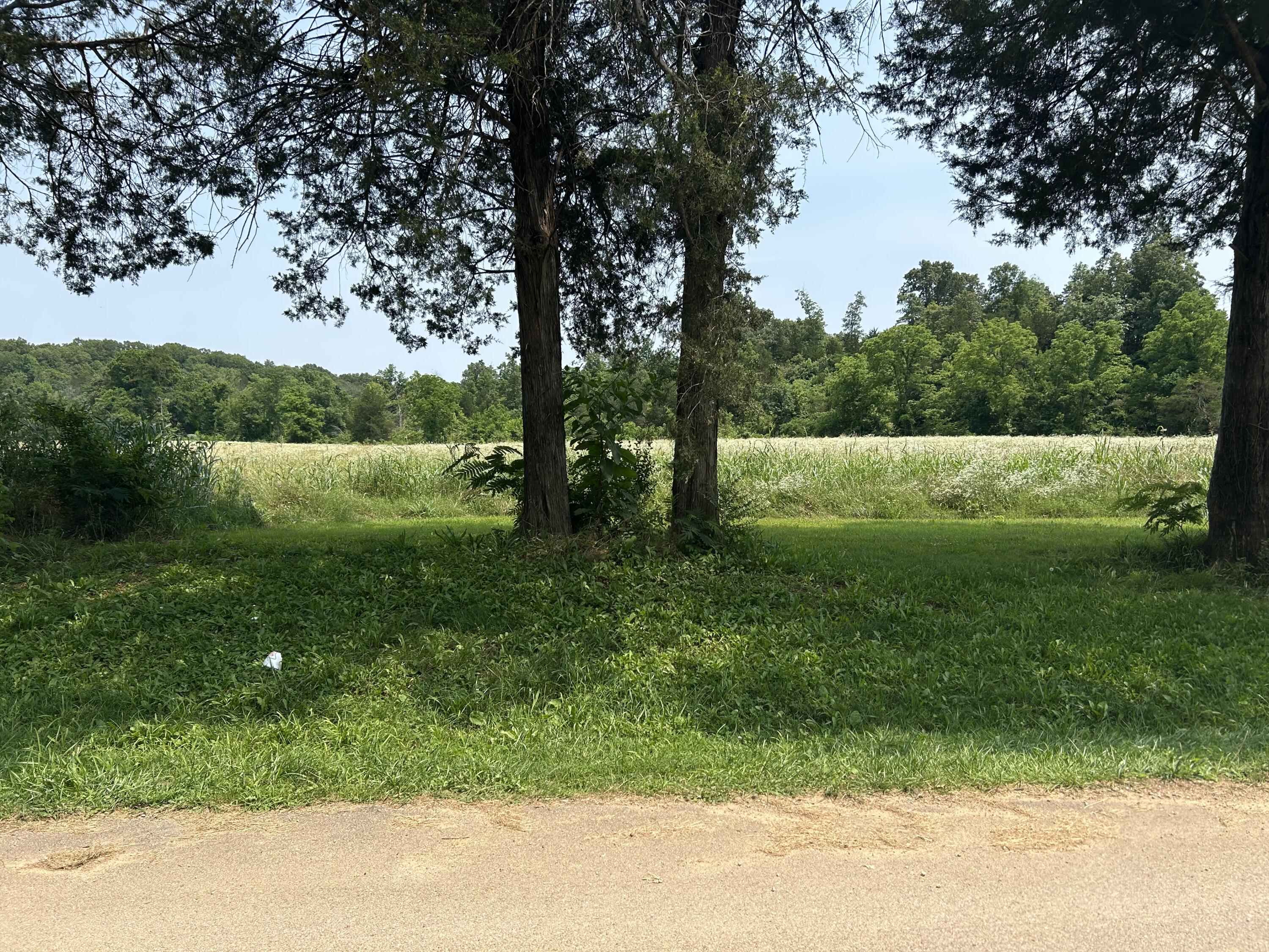 000 Gin Hill Road Property Photo 15