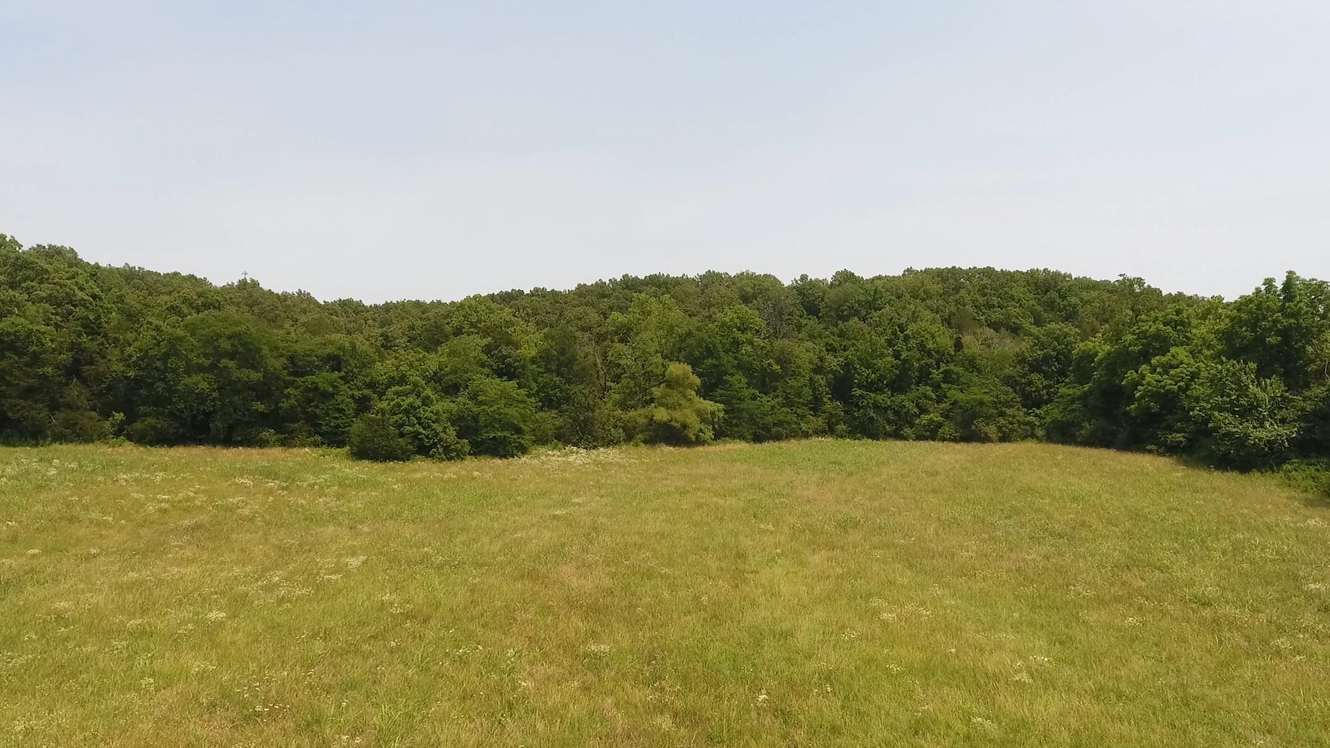 000 Gin Hill Road Property Photo 17