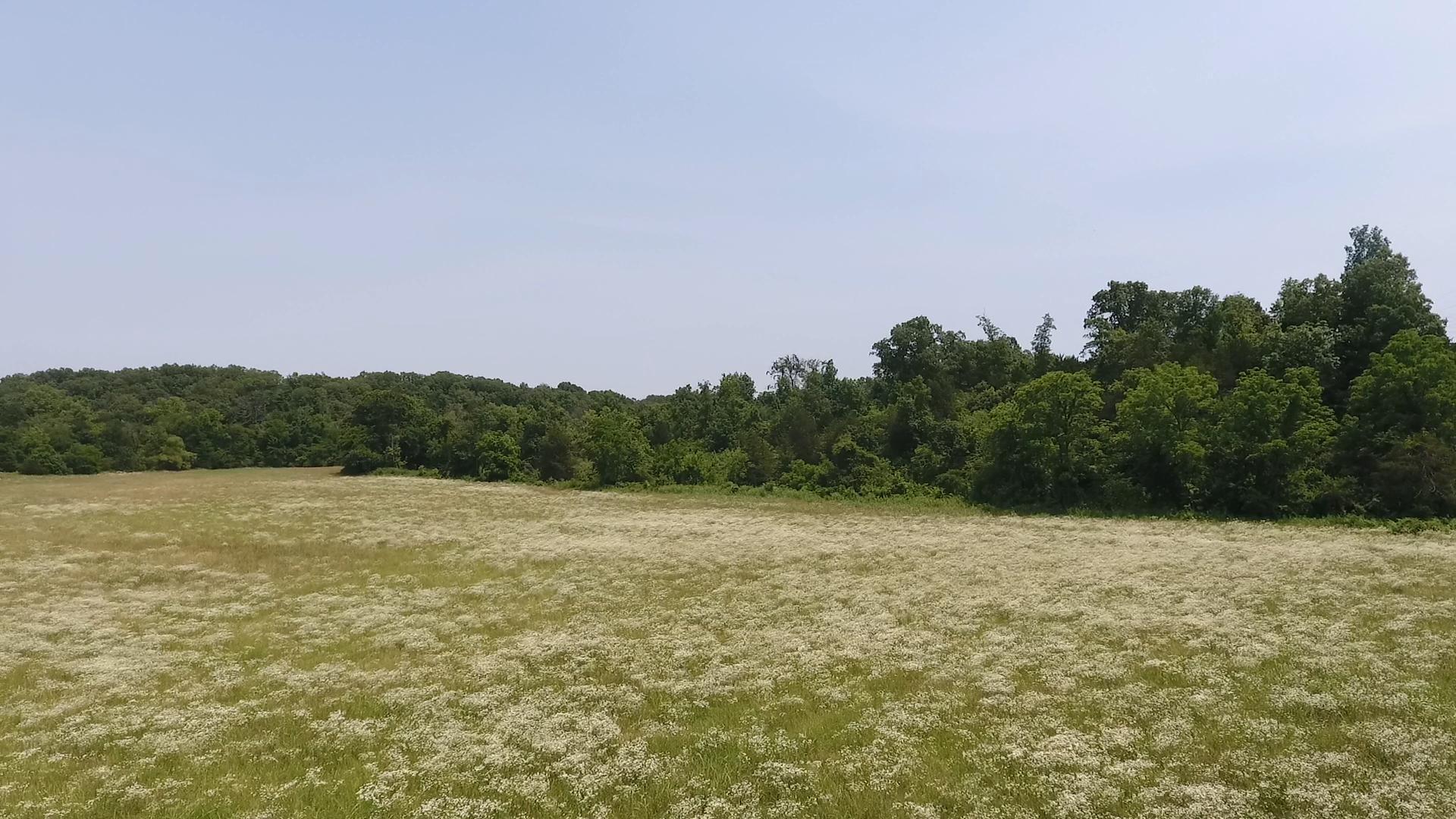 000 Gin Hill Road Property Photo 18