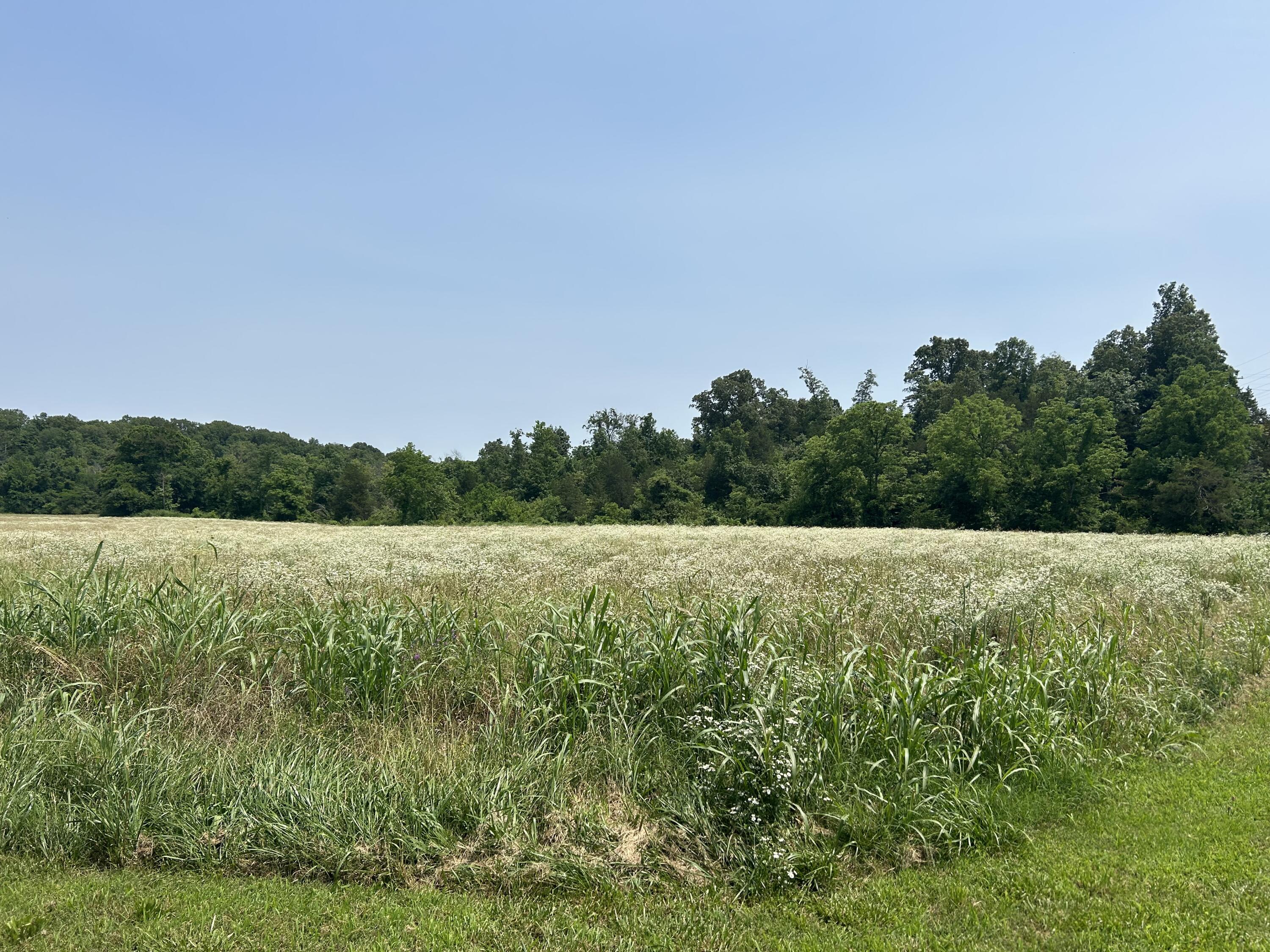 000 Gin Hill Road Property Photo 19