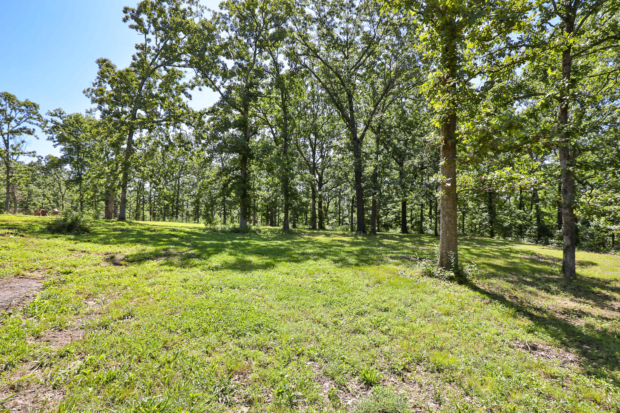 69 Deerfield Lane Property Photo 31
