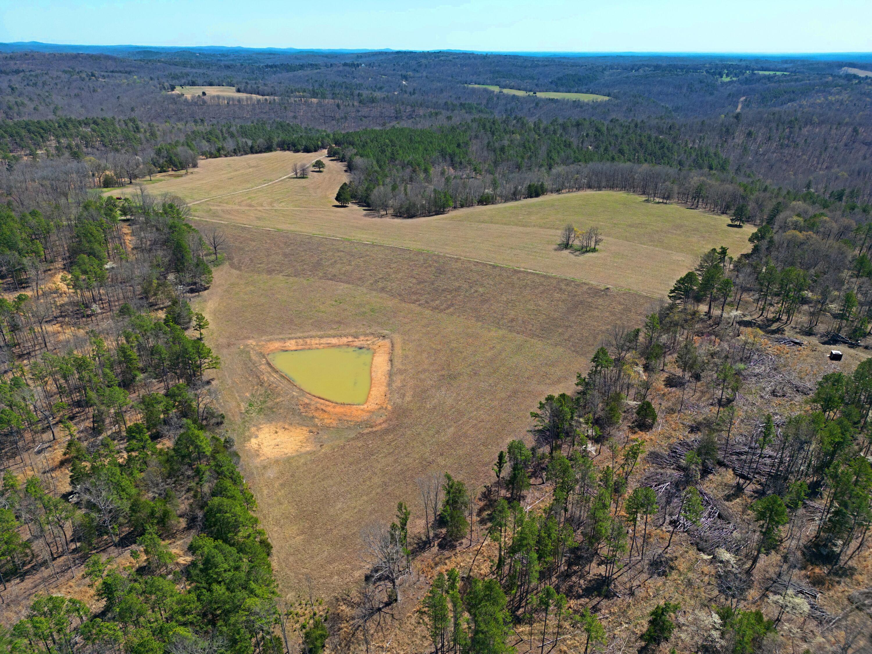 000 C-228 Tract #3 Property Photo 50