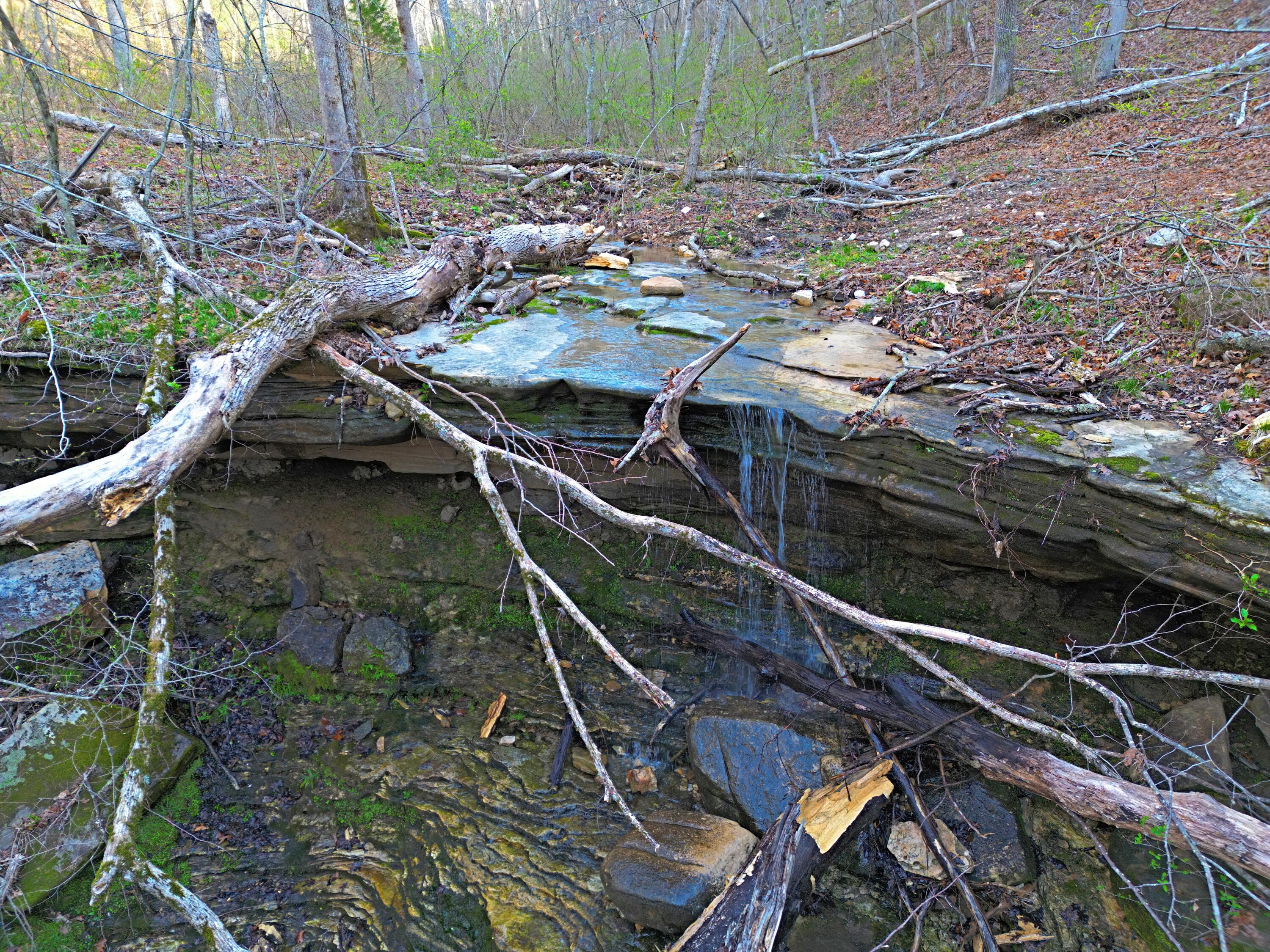 000 C-228 Tract #3 Property Photo 78