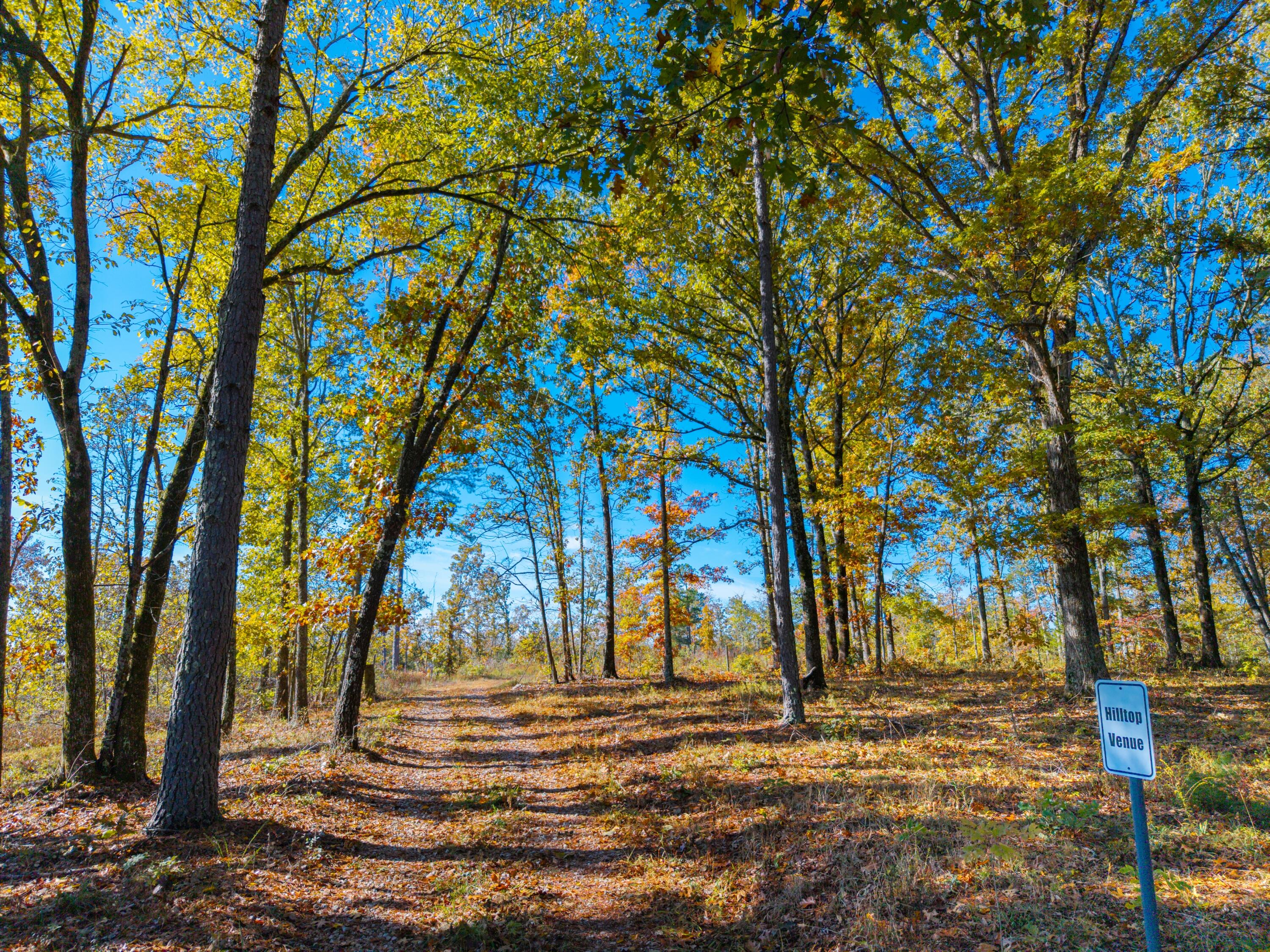 000 C-228 Tract #3 Property Photo 85