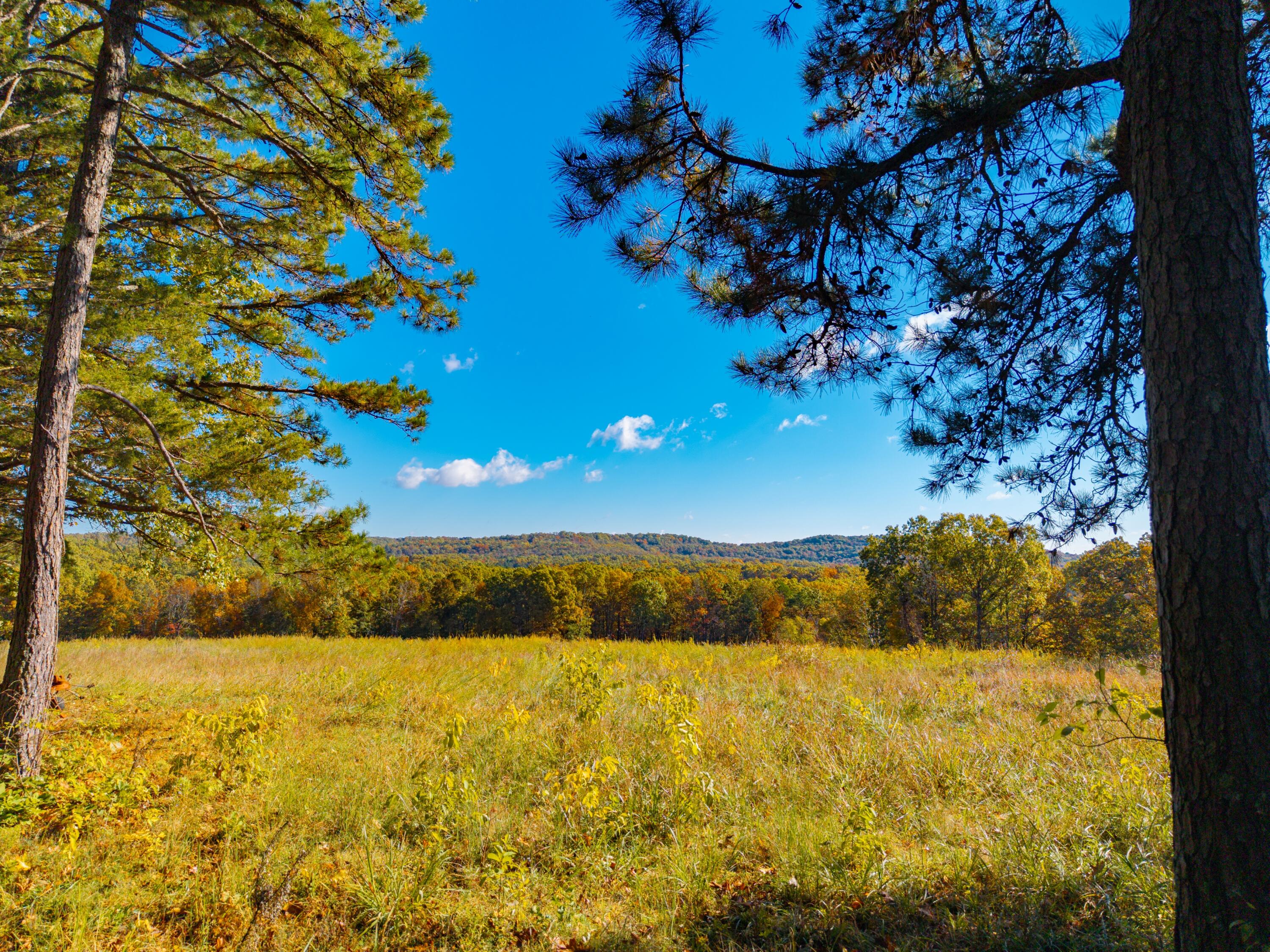 000 C-228 Tract #3 Property Photo 86