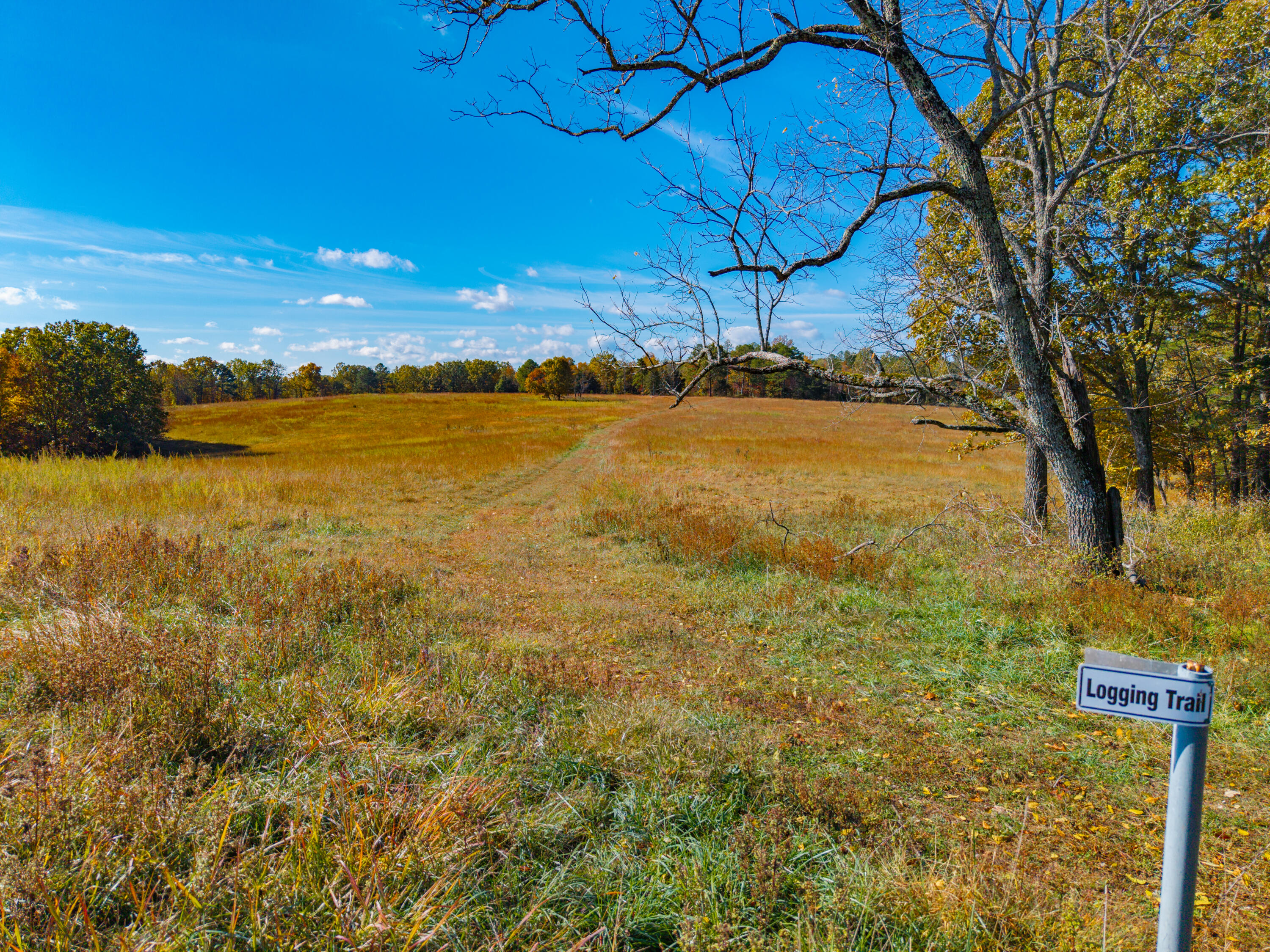 000 C-228 Tract #3 Property Photo 88