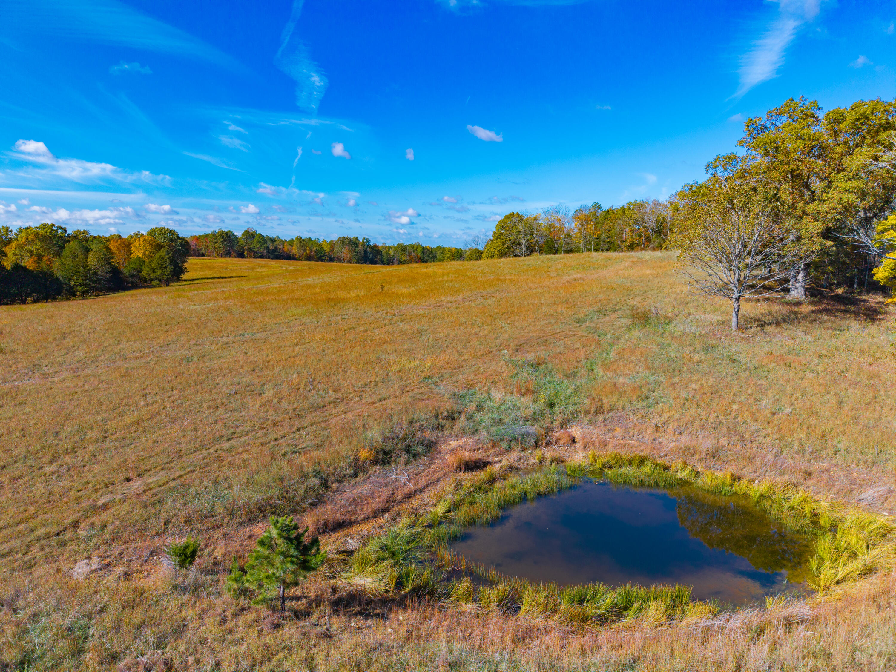 000 C-228 Tract #3 Property Photo 96