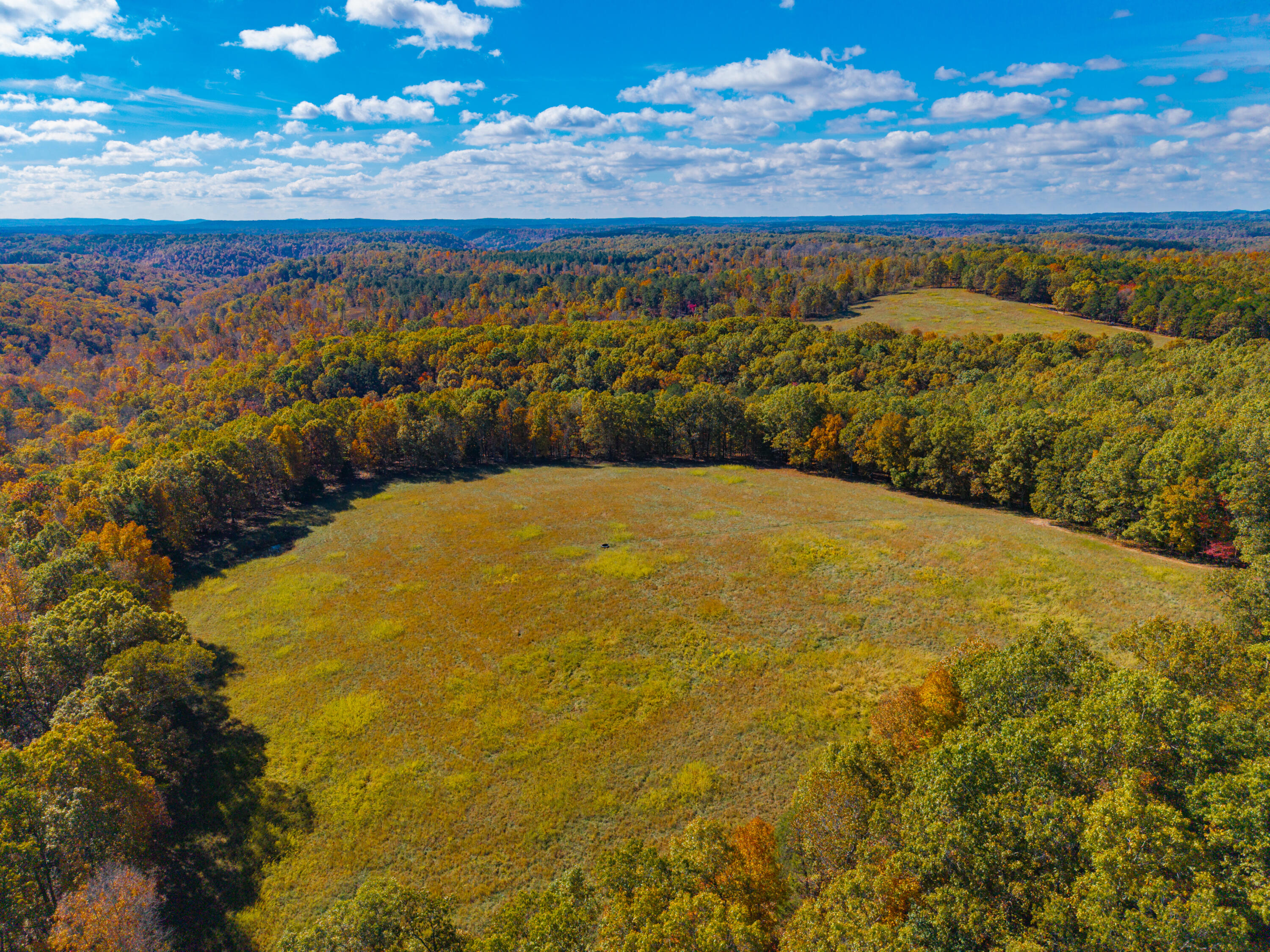 000 C-228 Tract #3 Property Photo 103
