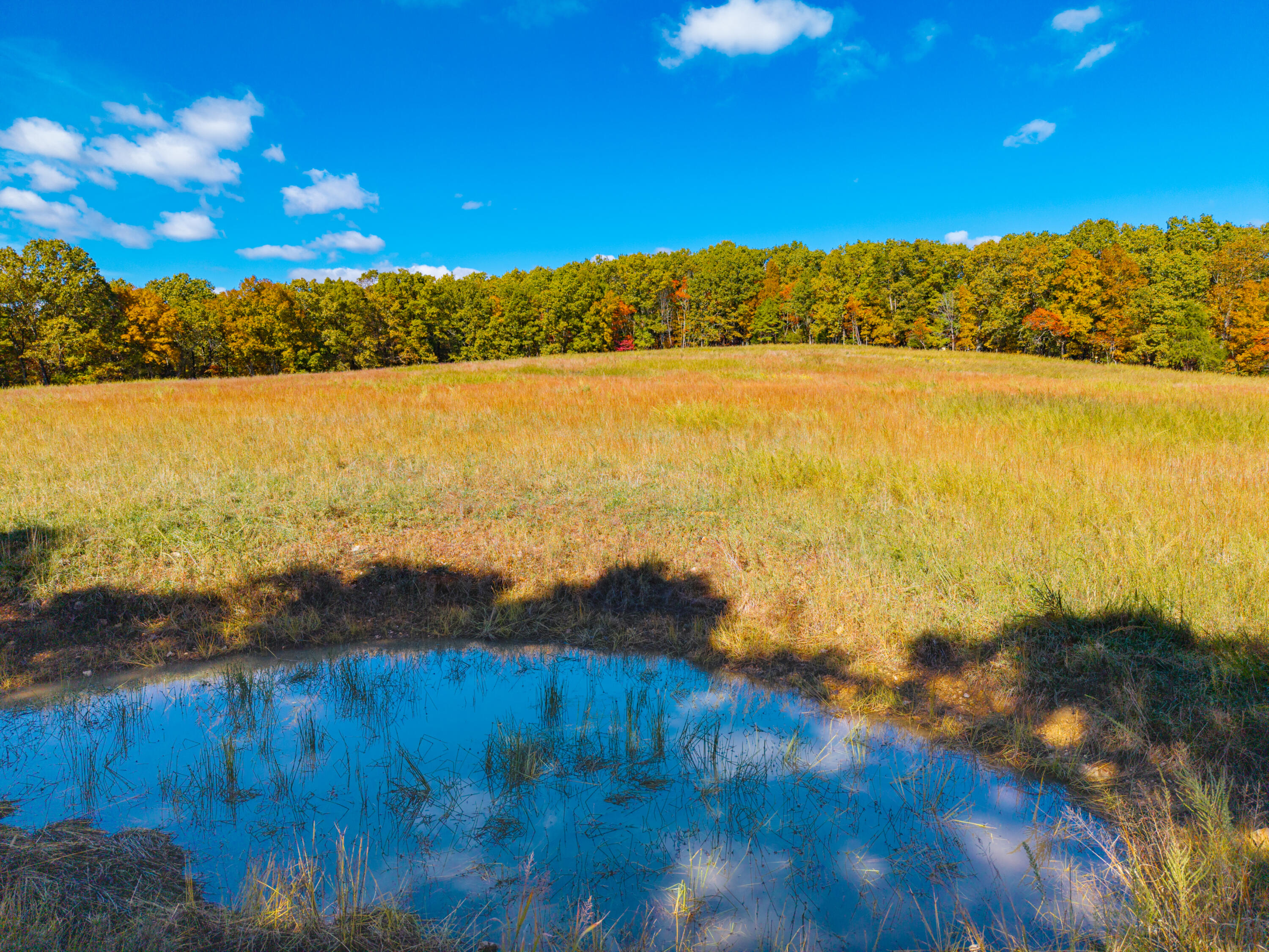 000 C-228 Tract #3 Property Photo 104