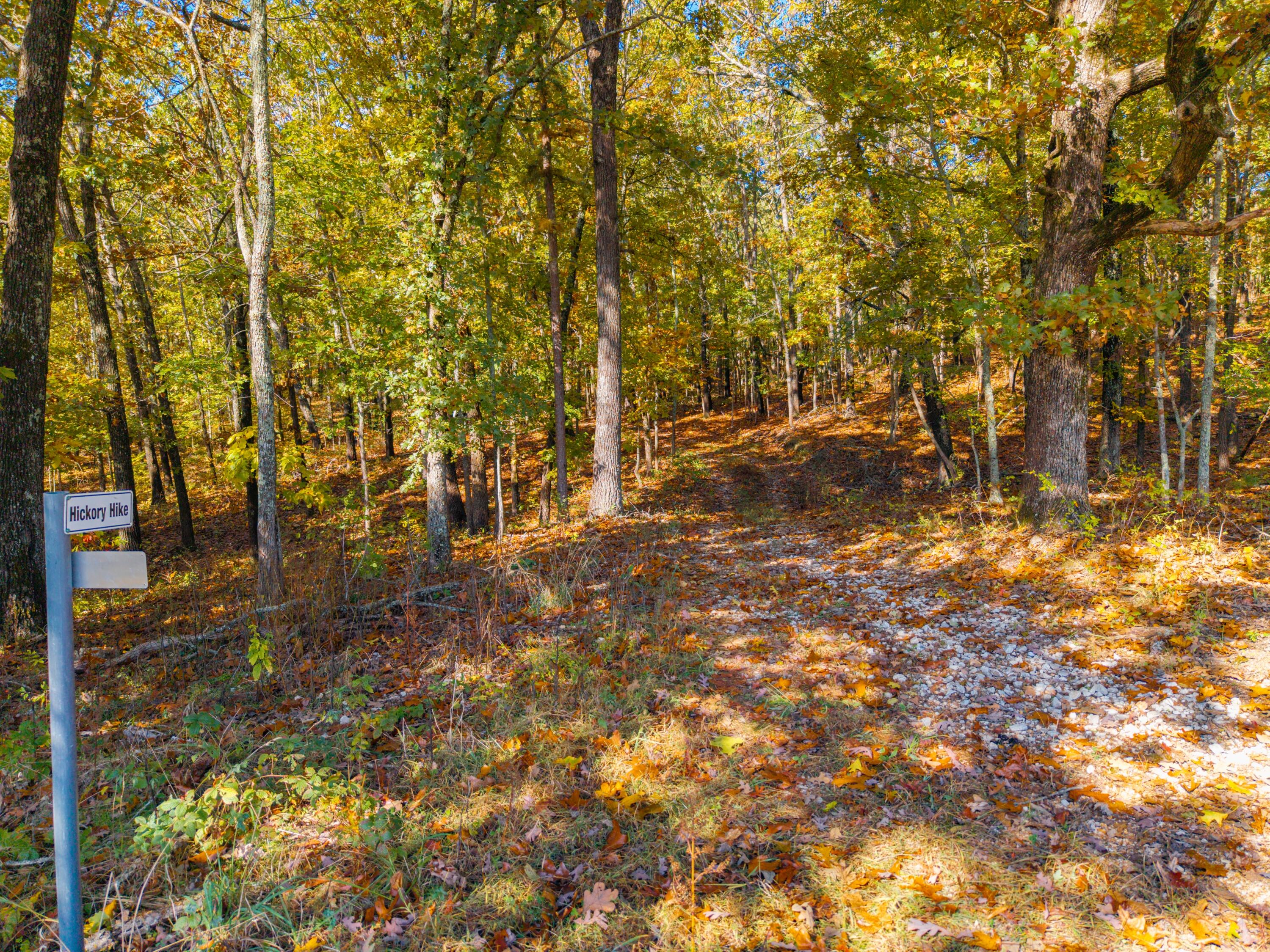 000 C-228 Tract #3 Property Photo 106