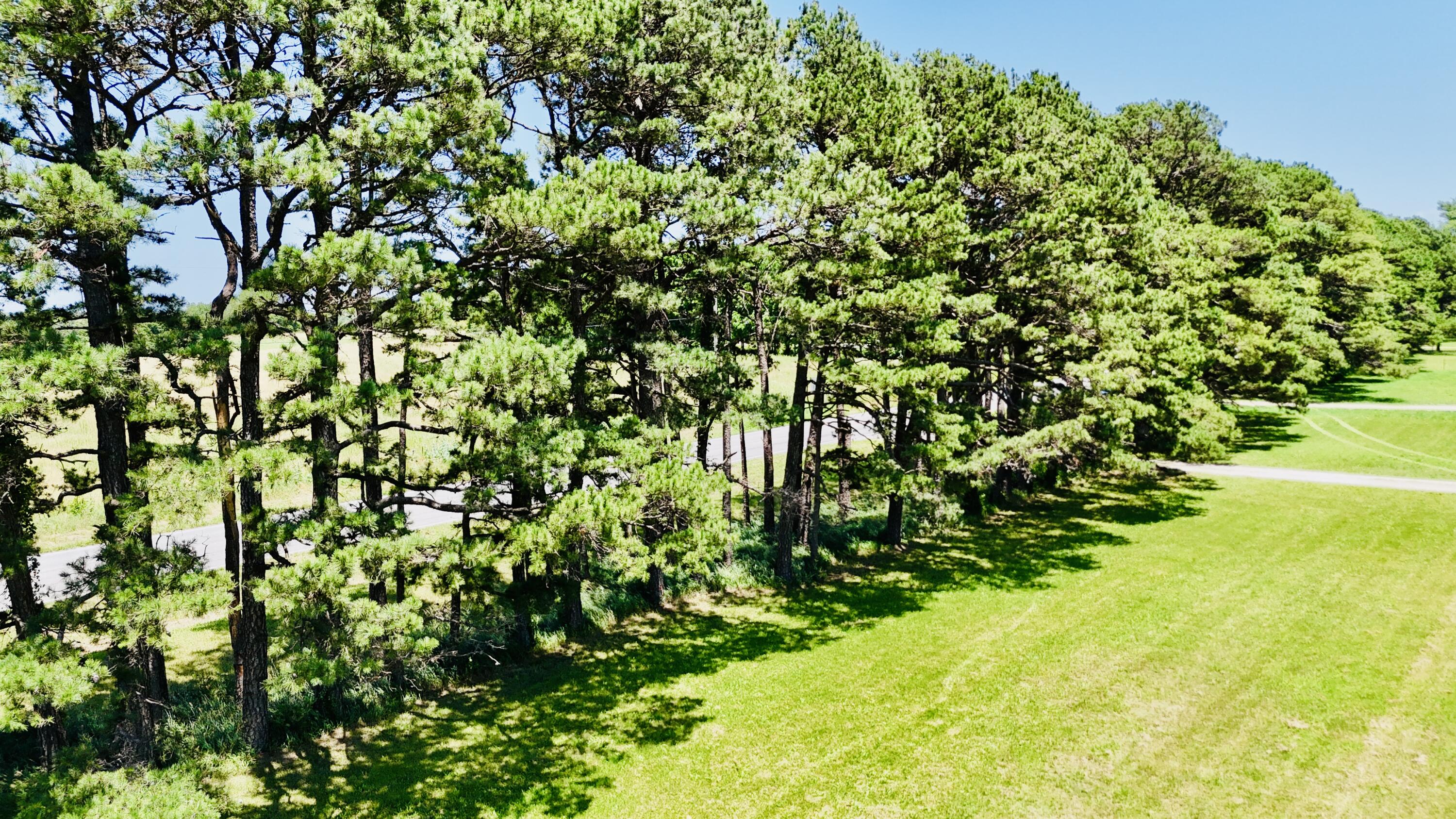 5773 Highway 37 Property Photo 25