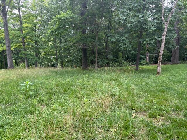 000 Lots 3 Property Photo 4