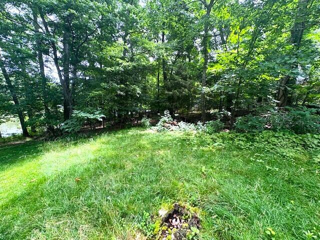 000 Lots 3 Property Photo 5