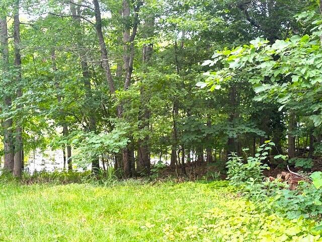 000 Lots 3 Property Photo 6