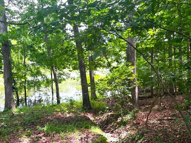 000 Lots 3 Property Photo 7