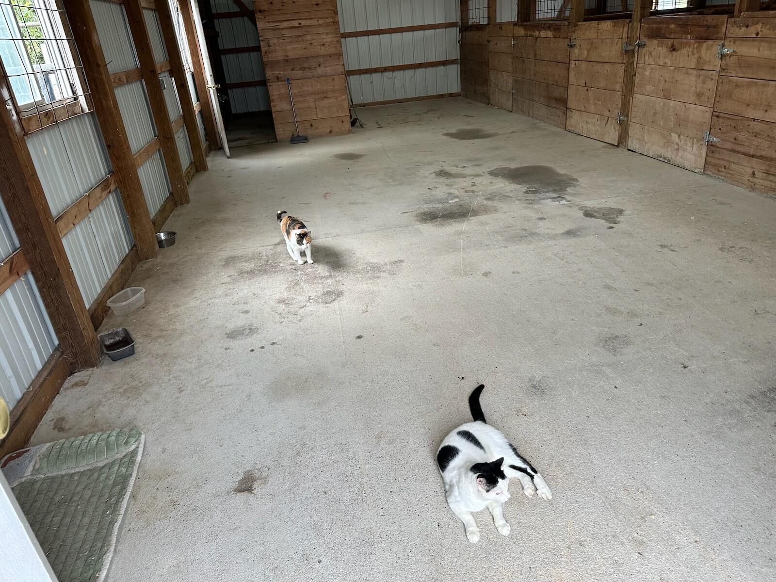 504 State Highway O (9.43 Acres) Property Photo 71