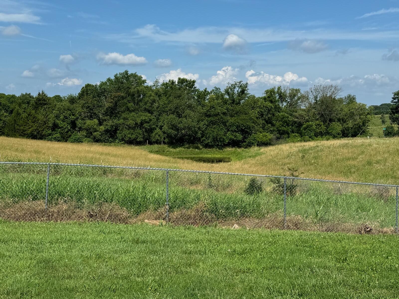 504 State Highway O (19.43 Acres) Property Photo 11