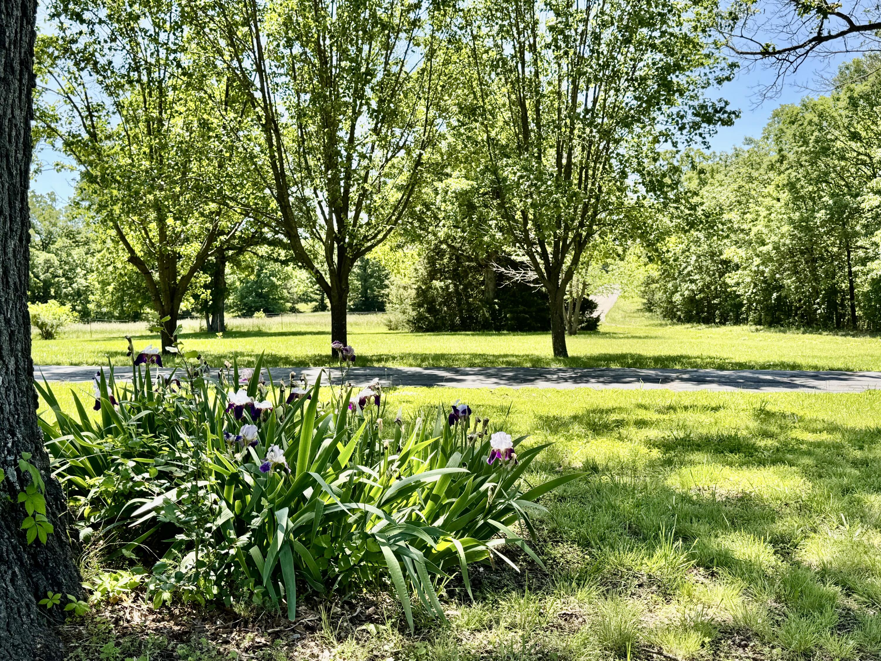 140 State Highway V Property Photo 7