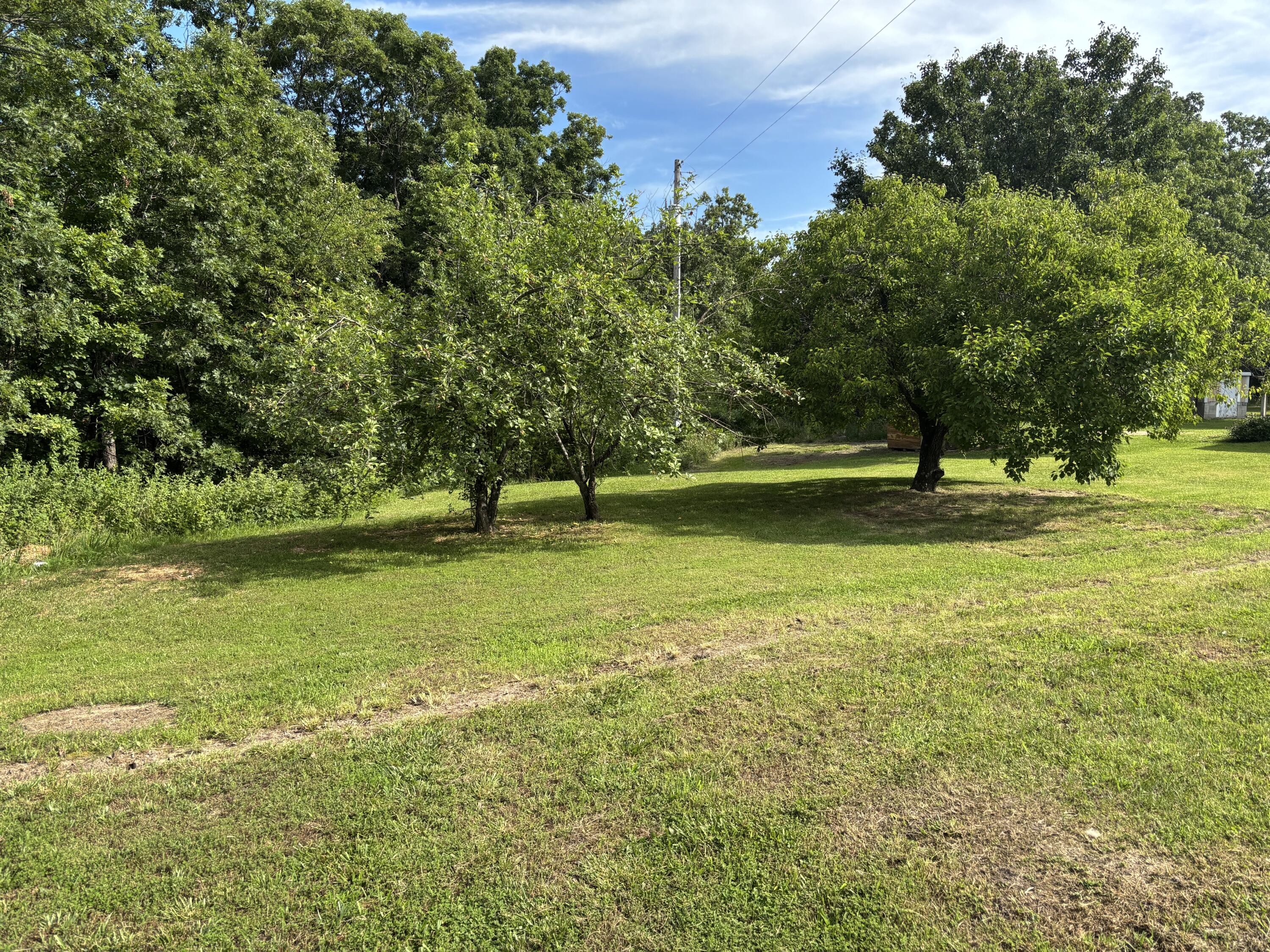 1299 State Hwy 64 Property Photo 23