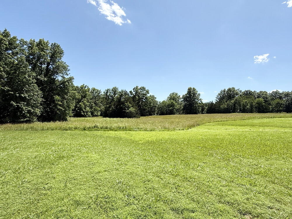114 West Carman Road Property Photo 45