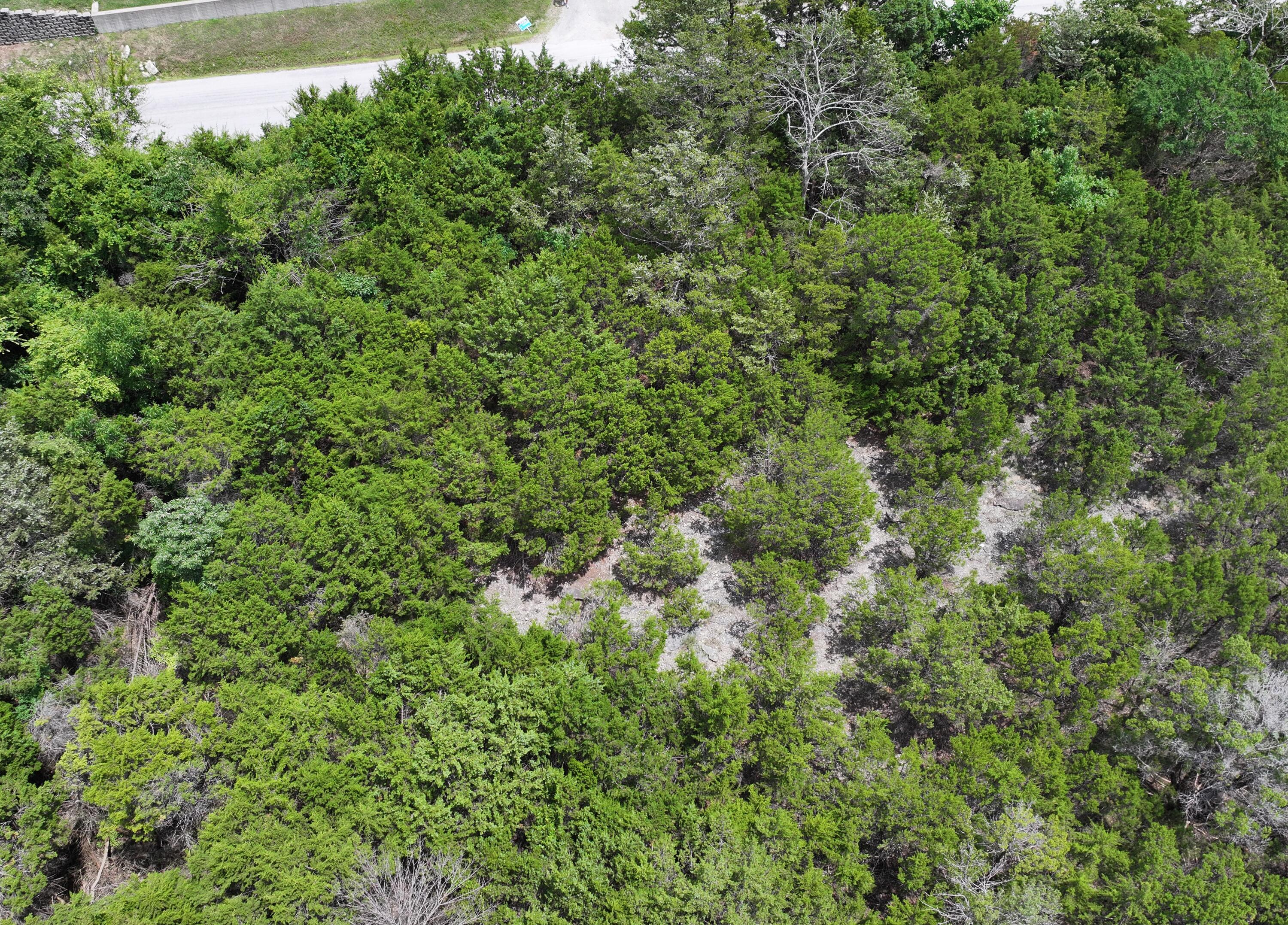 000 White Rockbluff Drive Property Photo 2