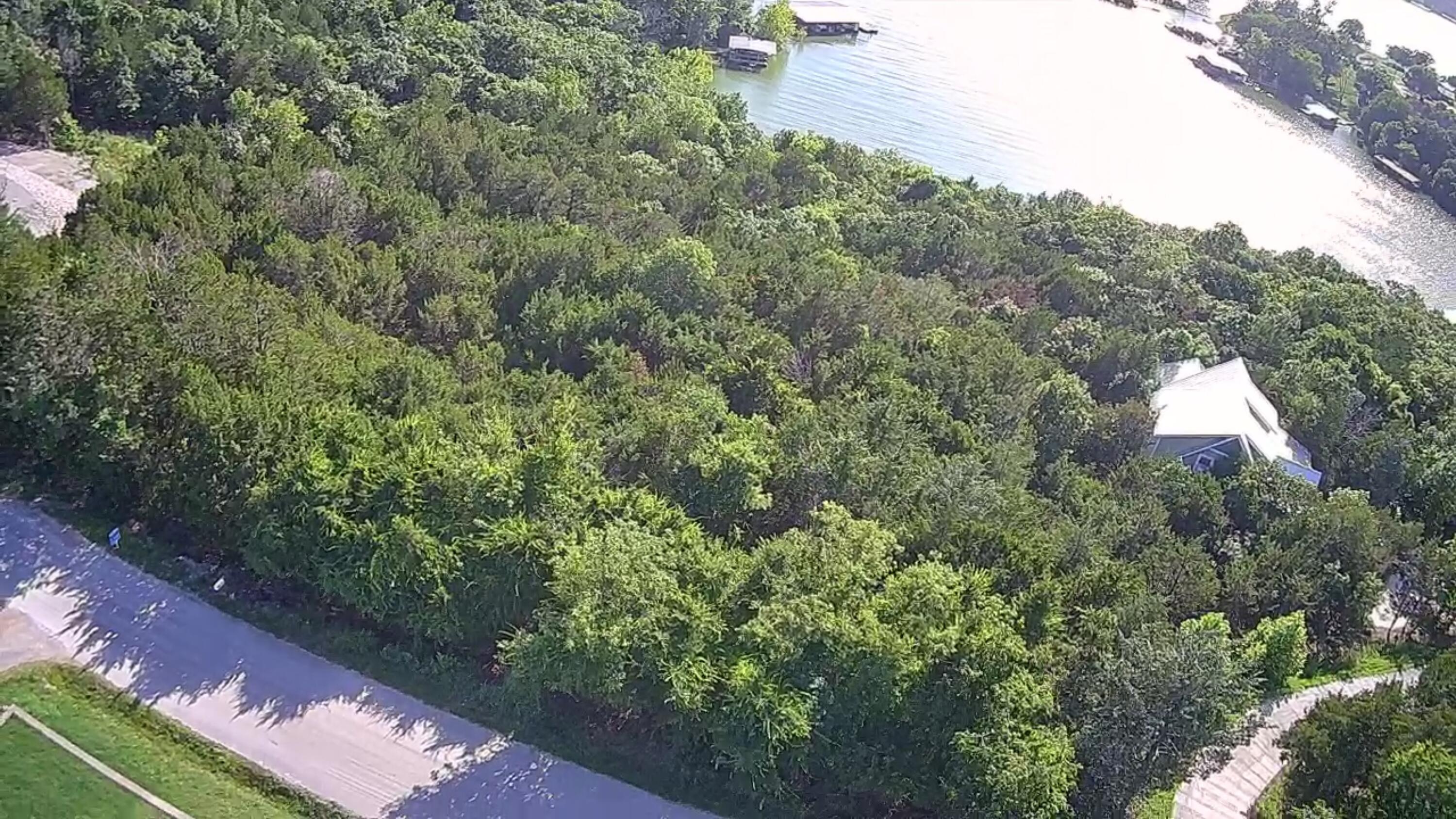 000 White Rockbluff Drive Property Photo 3