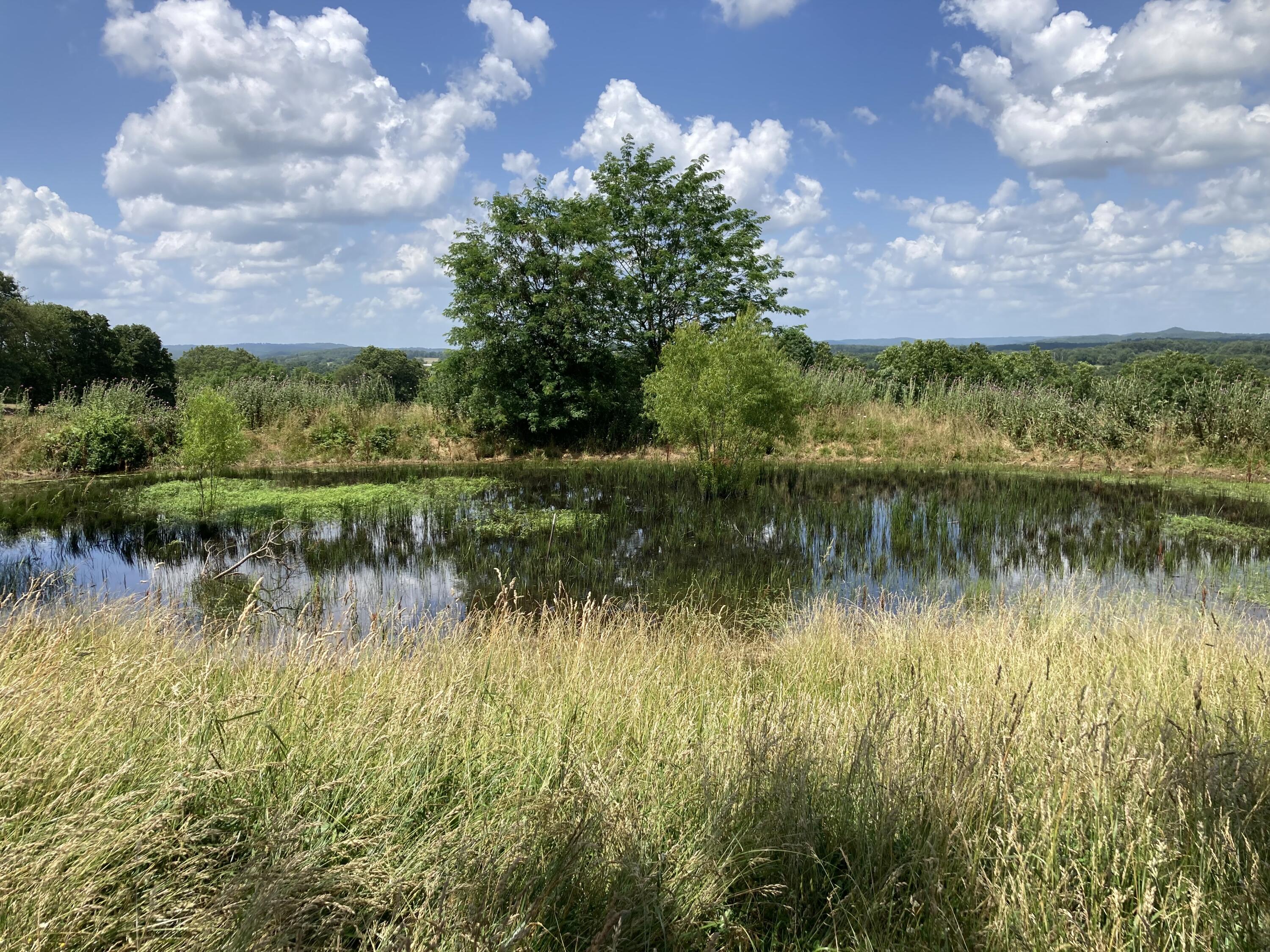 000 County Road O-532 Property Photo 1