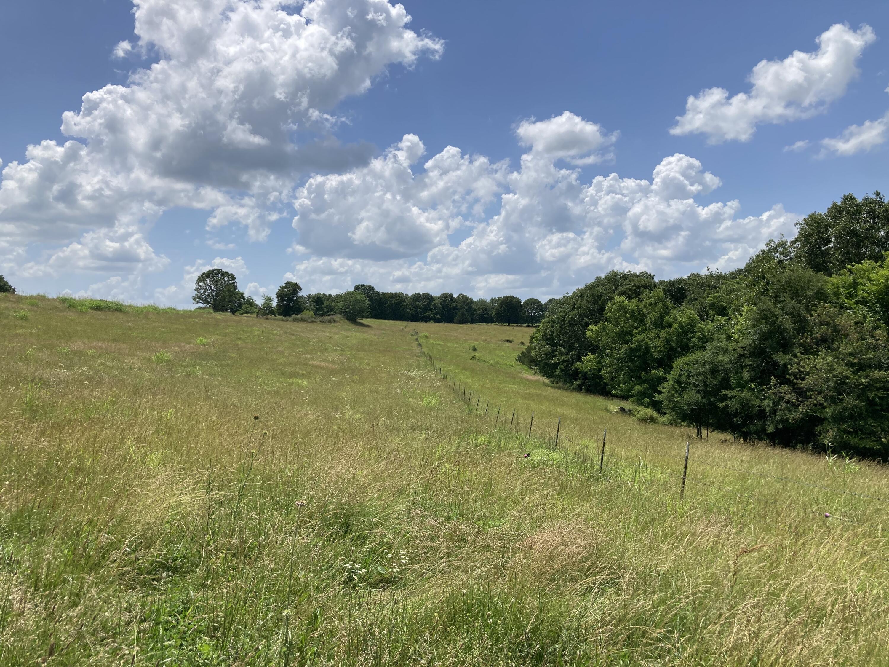 000 County Road O-532 Property Photo 5