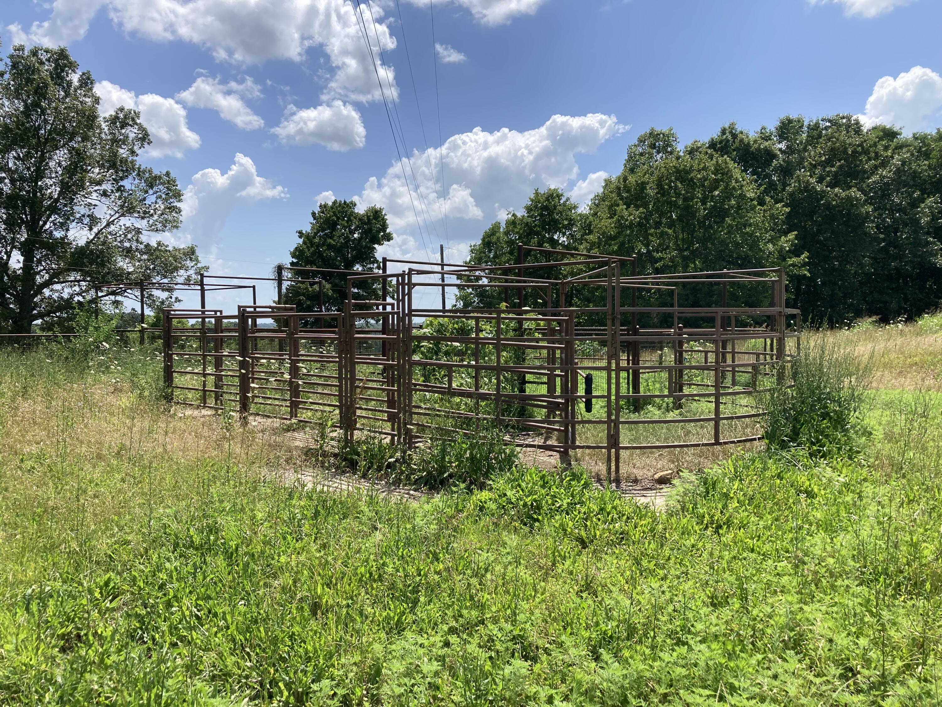 000 County Road O-532 Property Photo 9