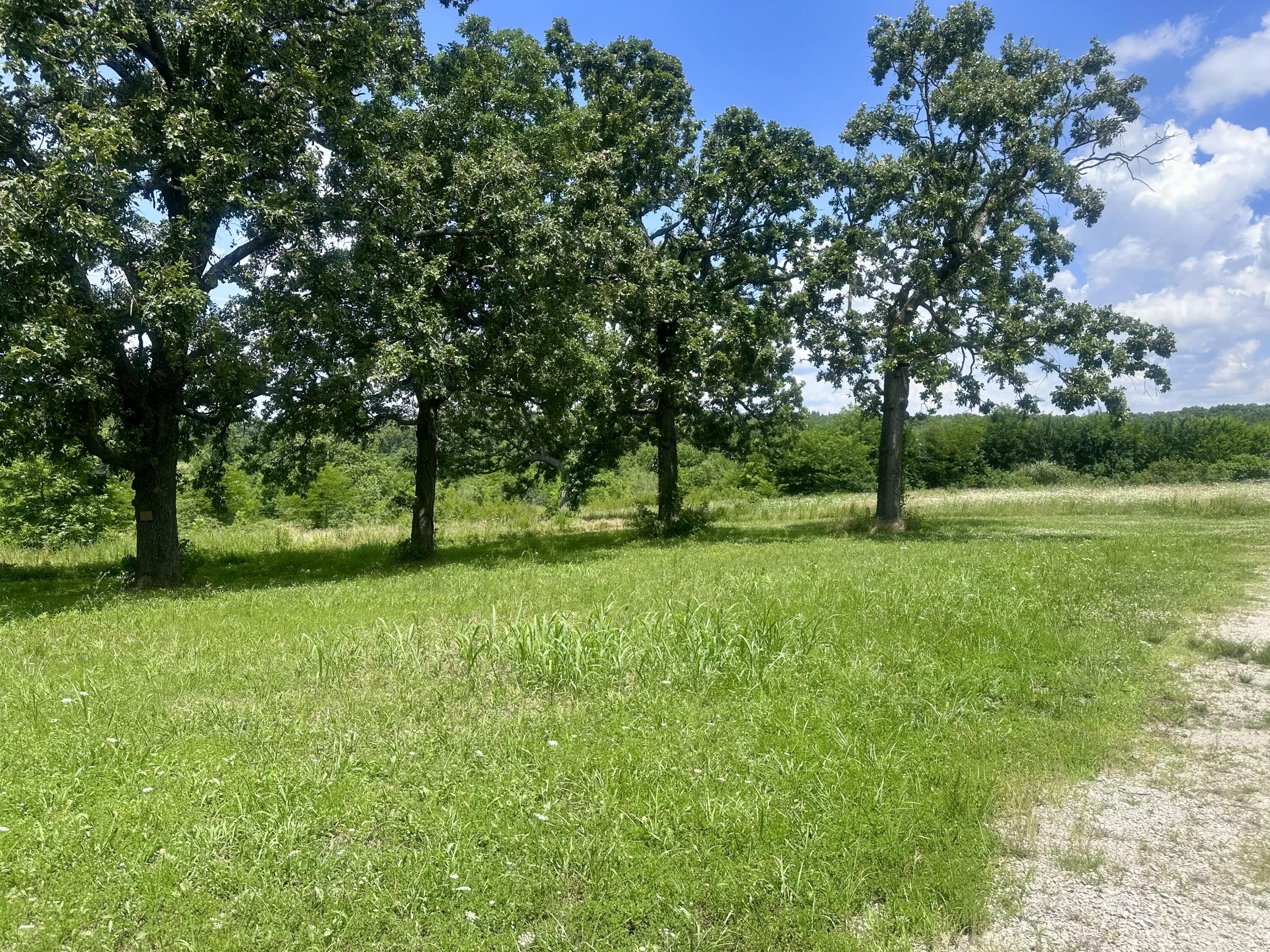 11975 East 1100 Road Property Photo 6
