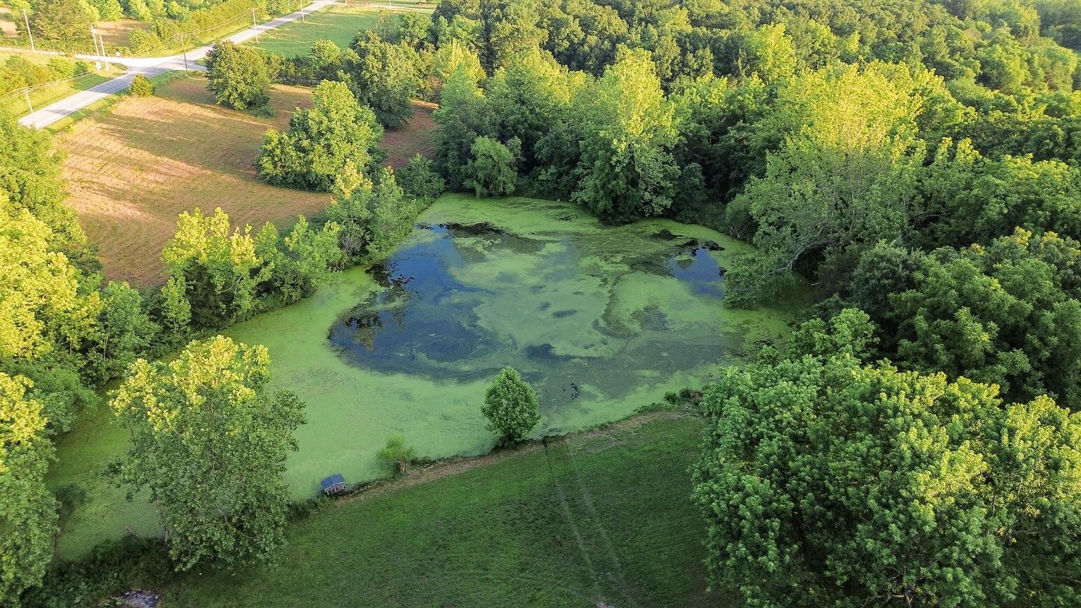 5063 State Hwy U Property Photo 23