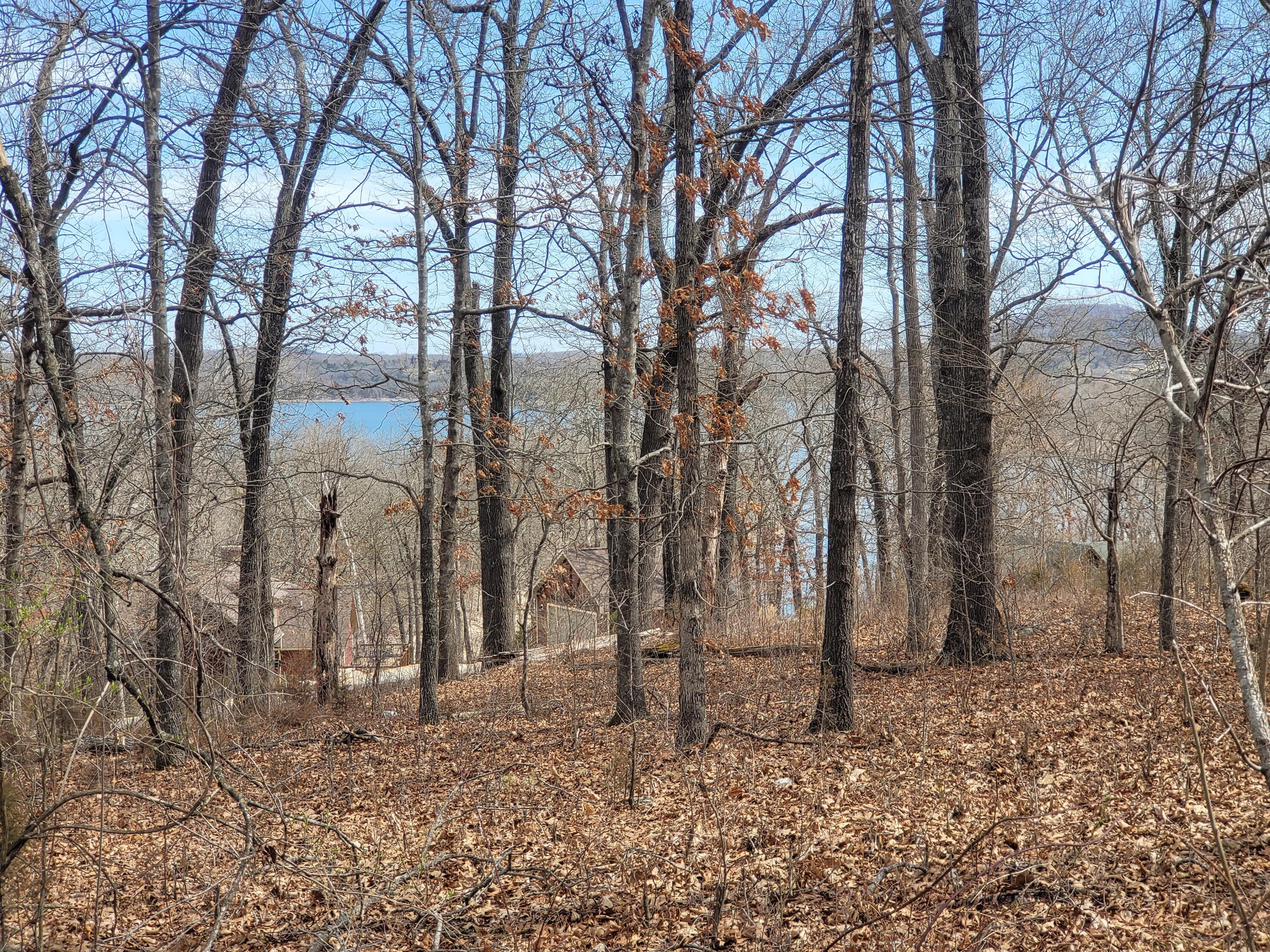 60 Green Cypress Lane Property Photo 1