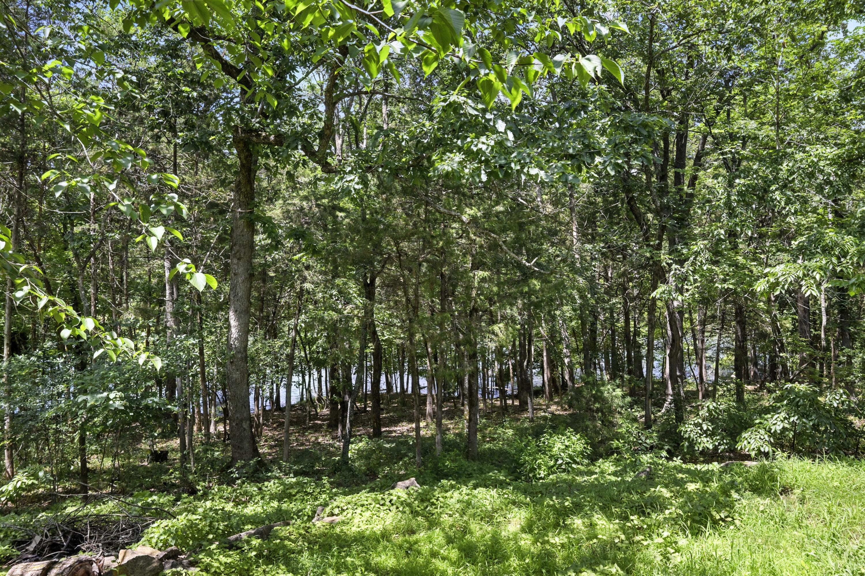 22562 Air Park Drive Property Photo 46