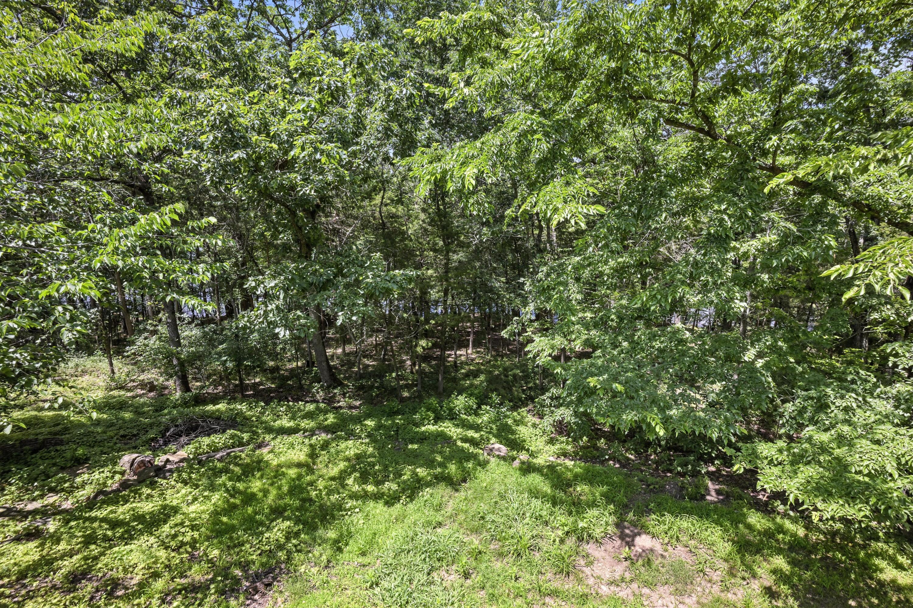 22562 Air Park Drive Property Photo 54