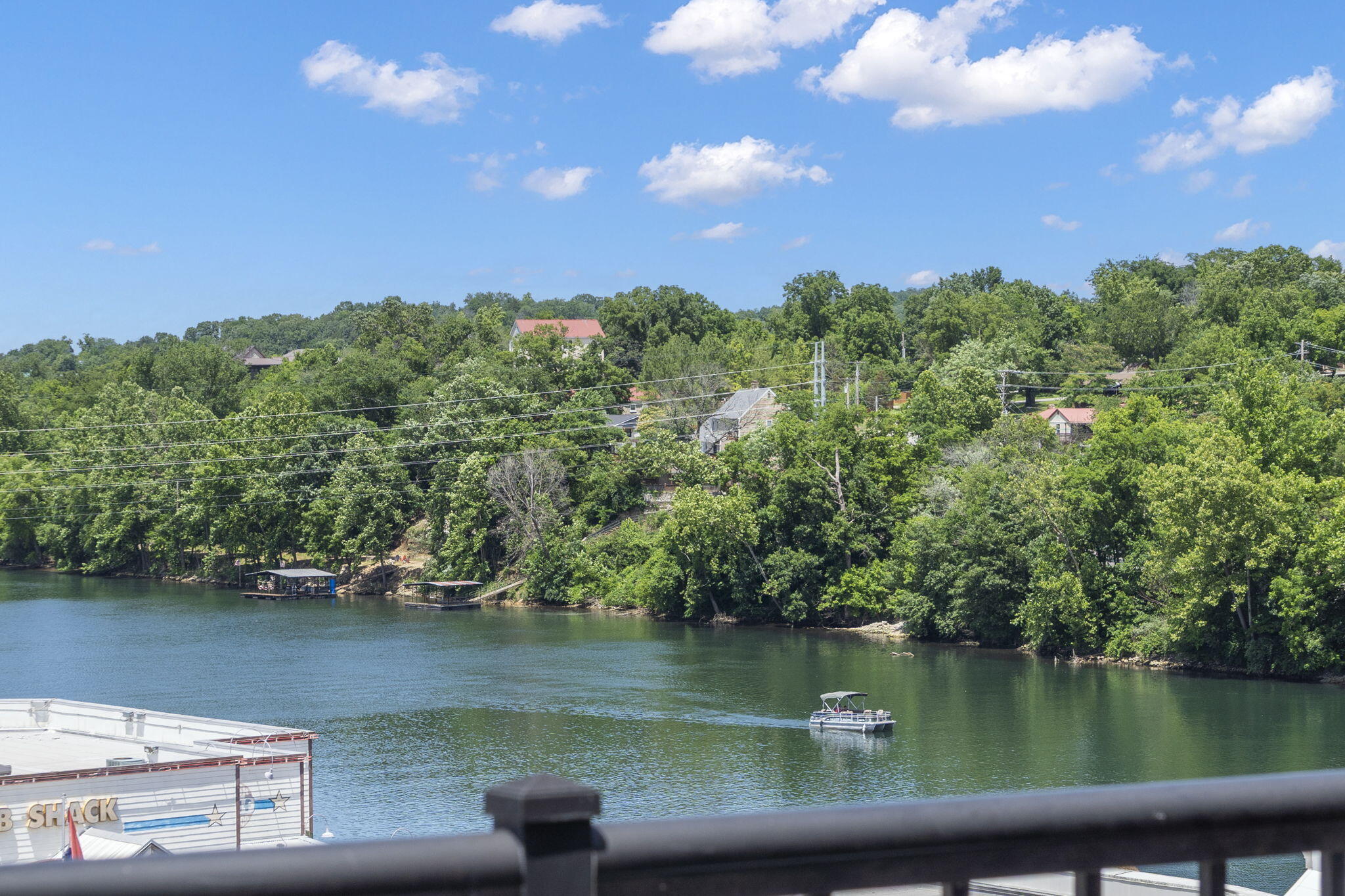 9502 Branson Landing Boulevard Property Photo 2
