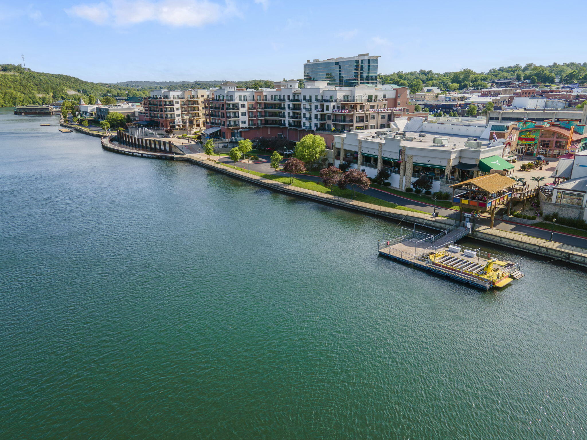 9502 Branson Landing Boulevard Property Photo 58