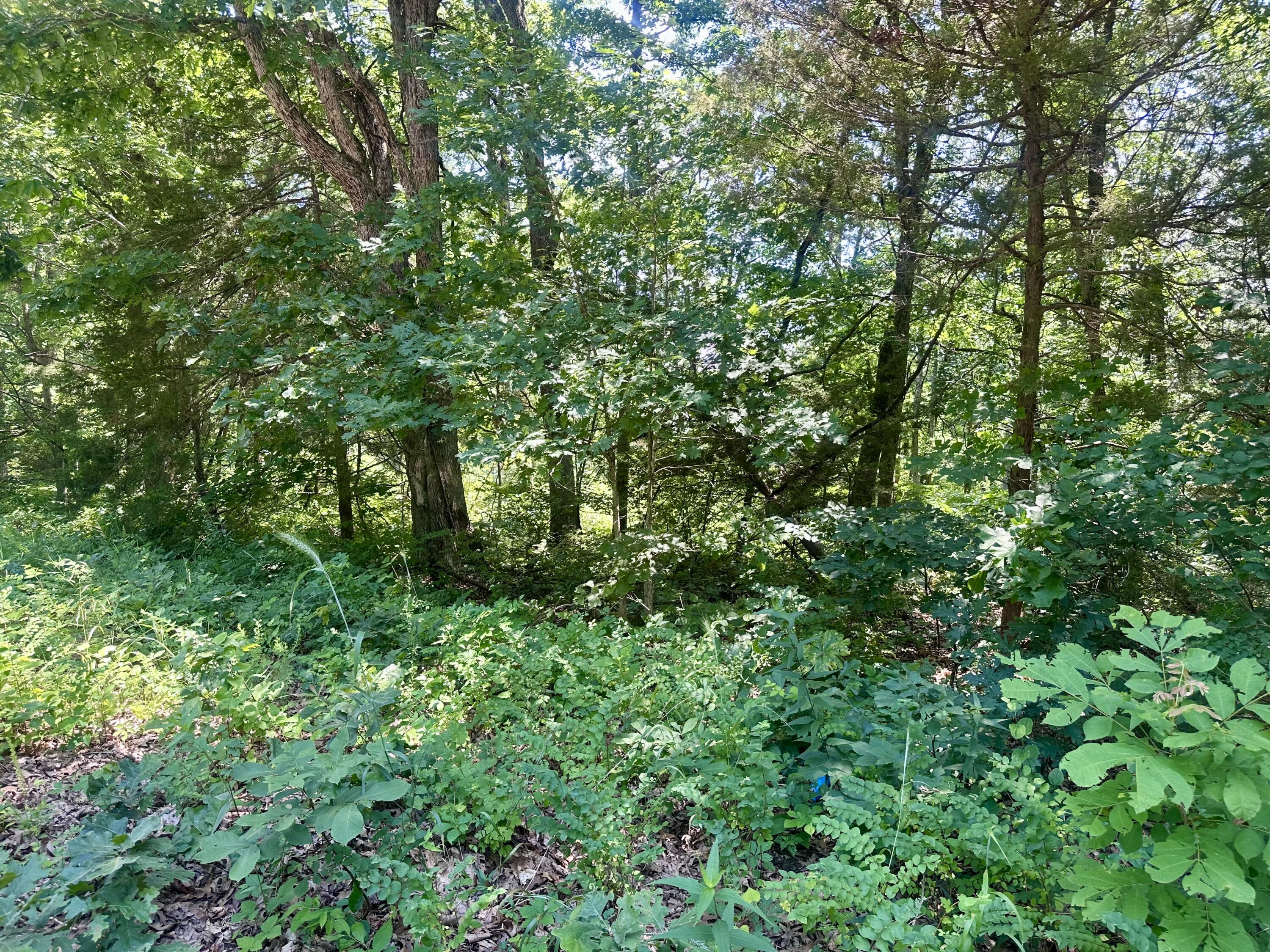Tbd East Highway N Property Photo 2