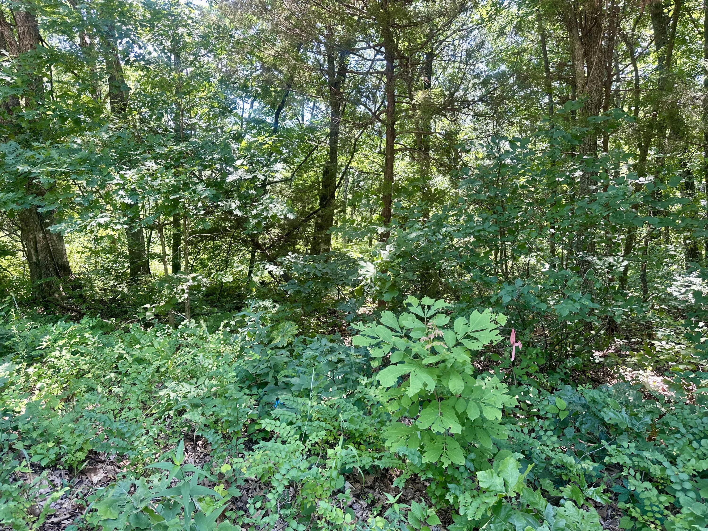 Tbd East Highway N Property Photo 3