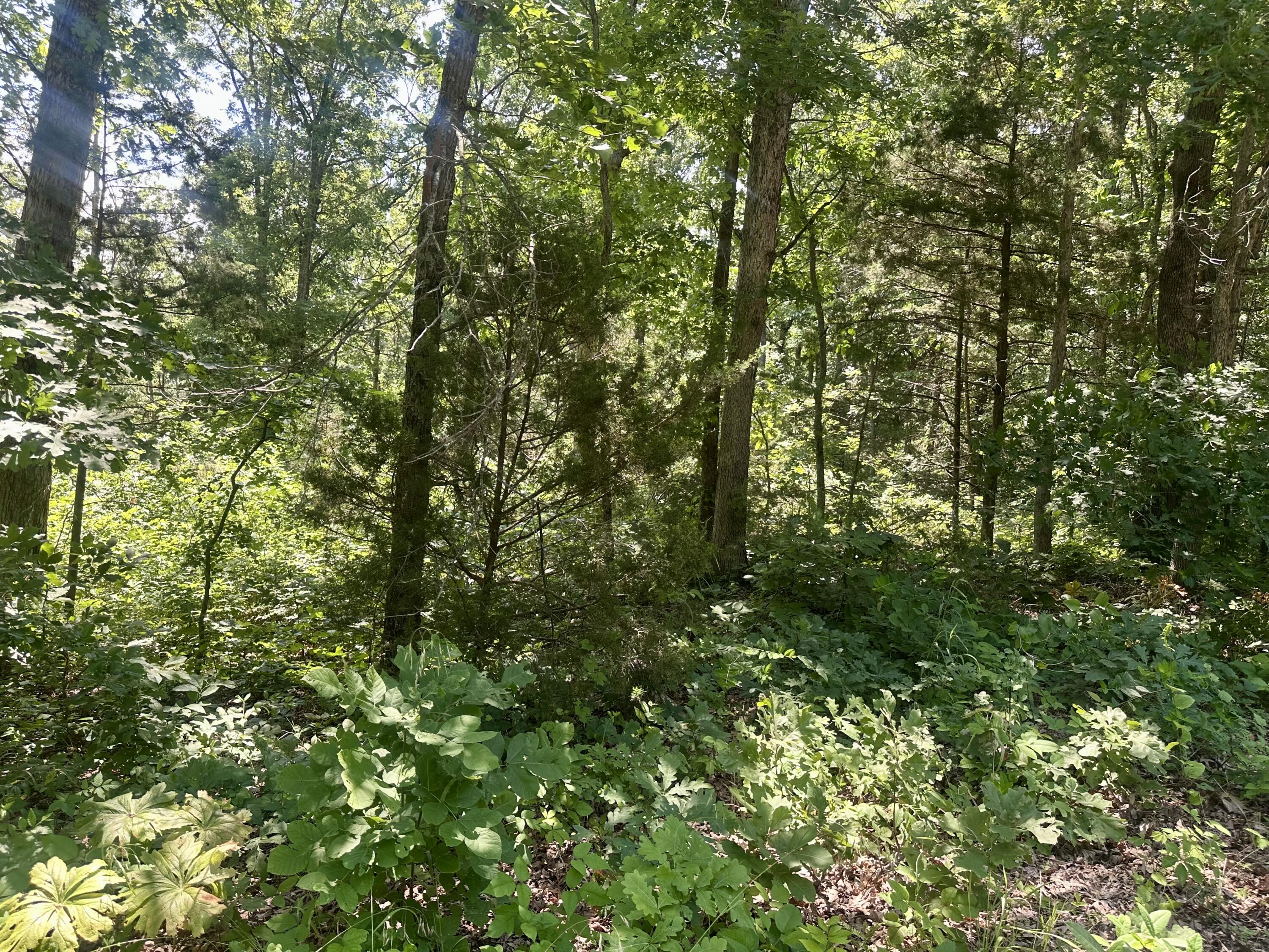 Tbd East Highway N Property Photo 4