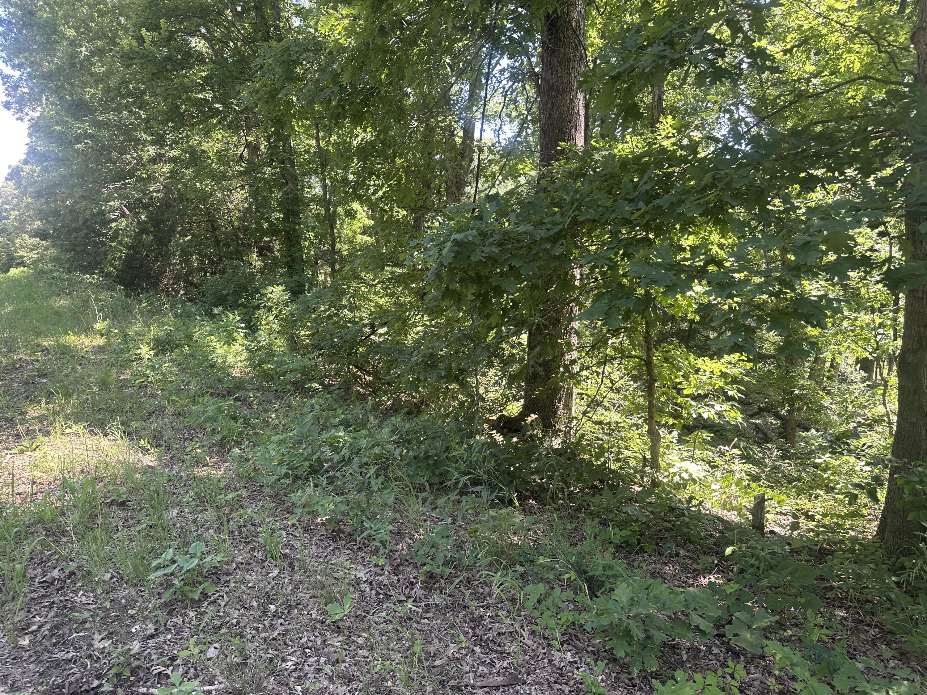 Tbd East Highway N Property Photo 5
