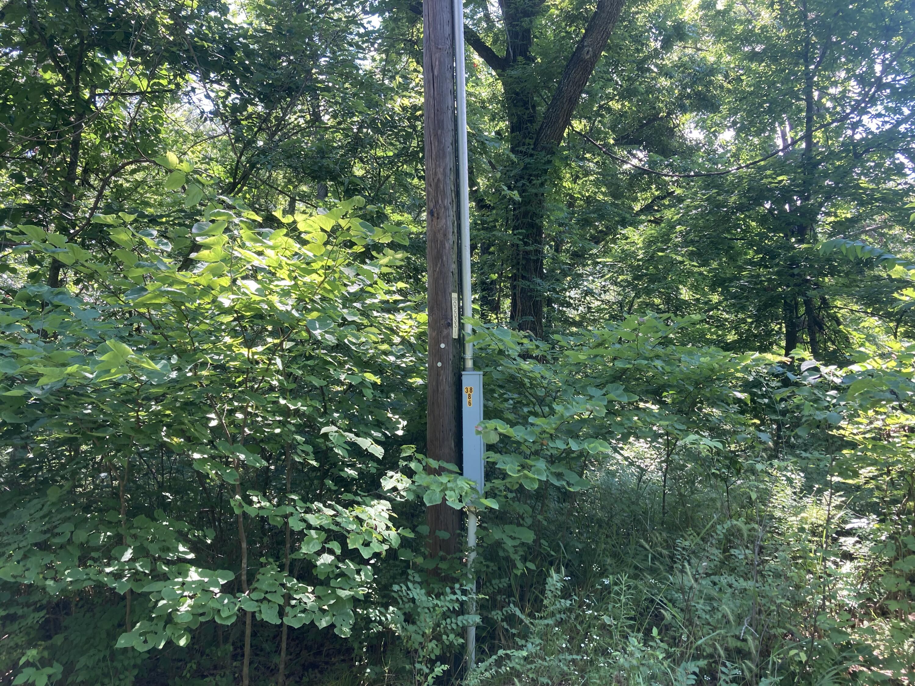 Tbd East Highway N Property Photo 8